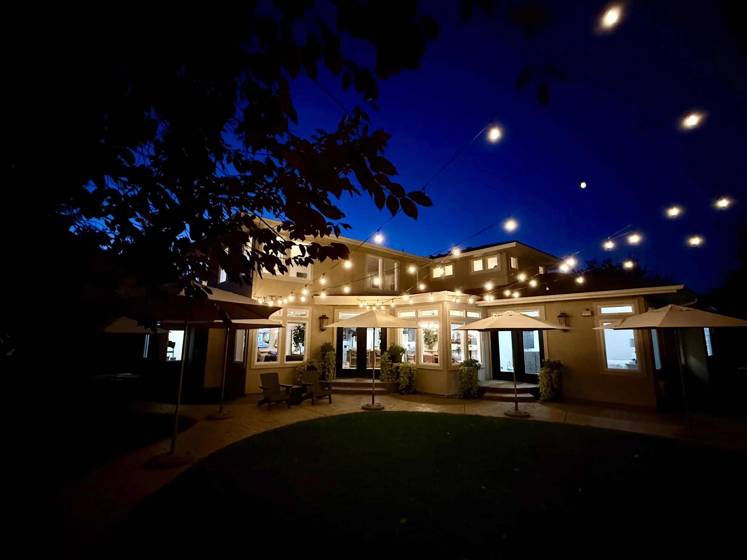 Backyard - Incredible Accent Lighting with Up Lights on Treed Perimeter