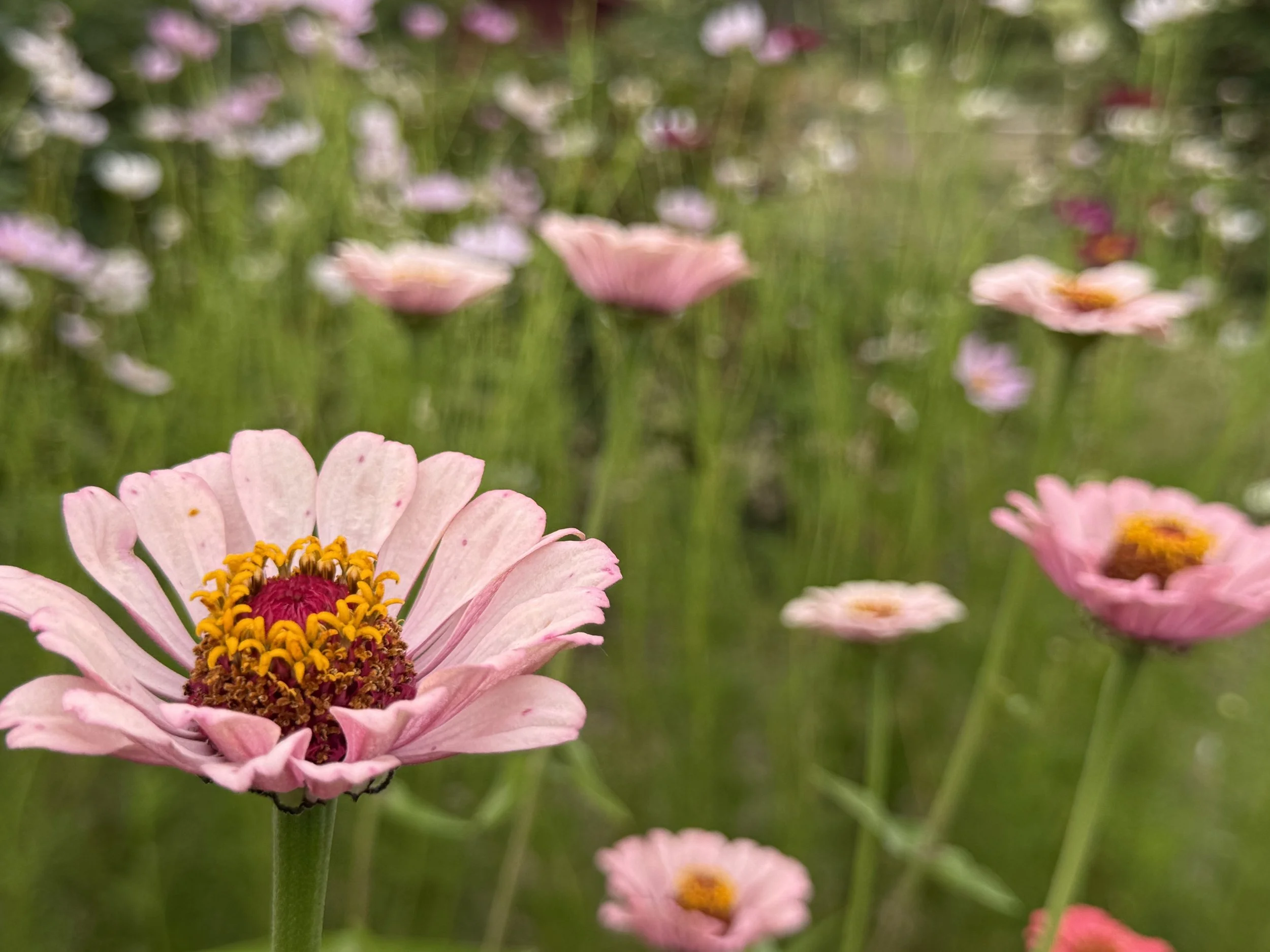 800+ Acres of Open Space