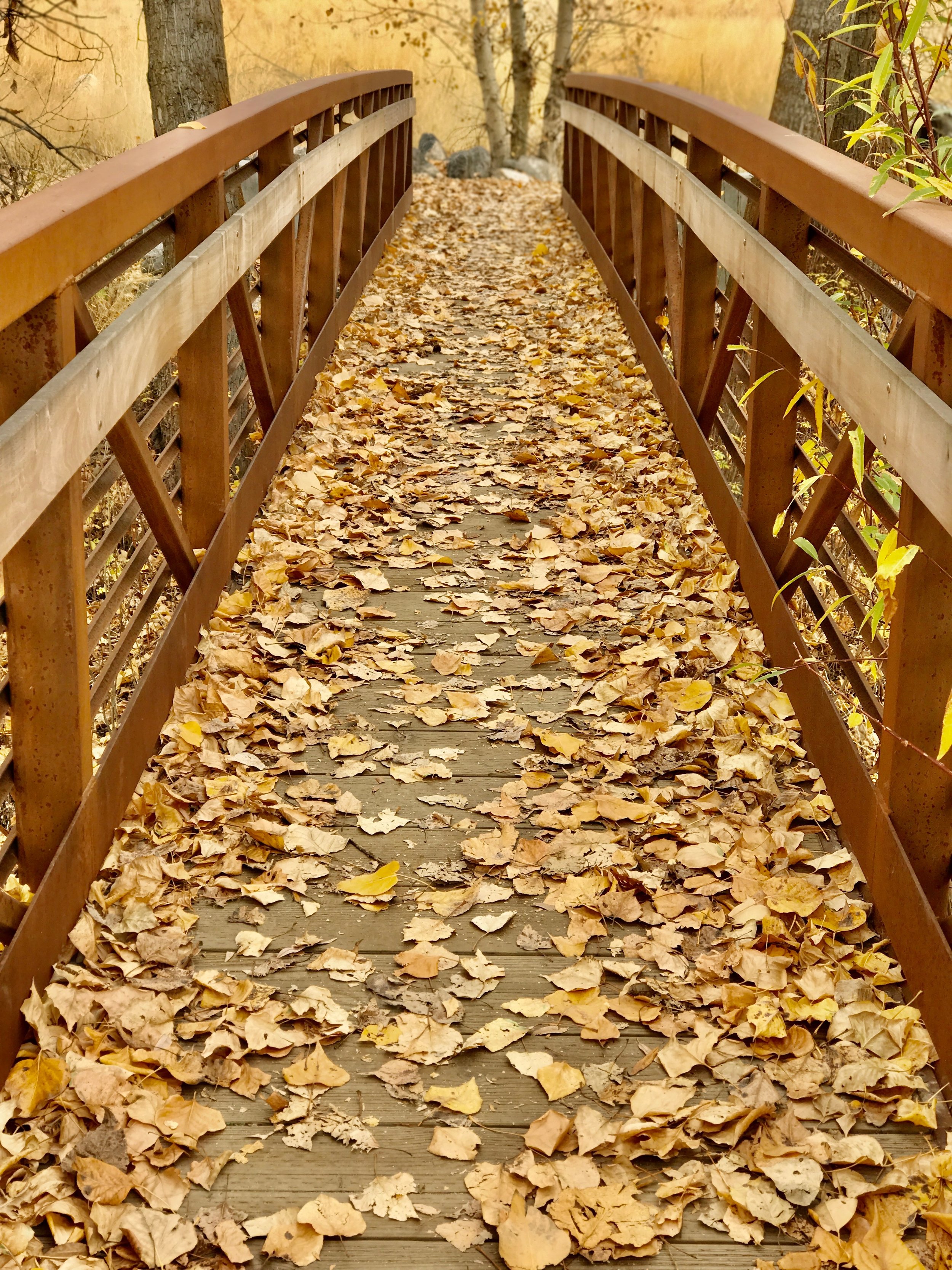 Community Trail System