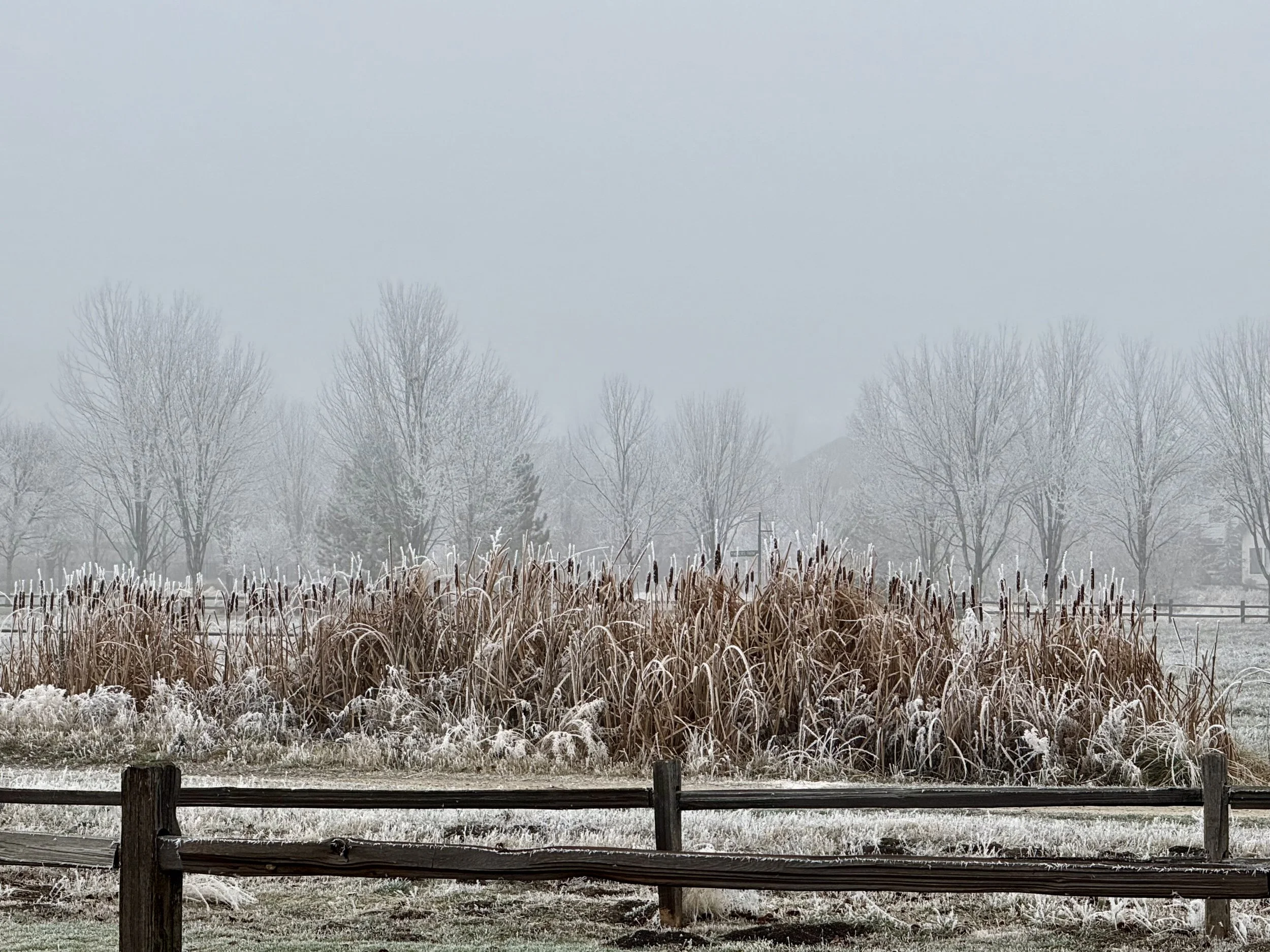 800+ Acres of Open Space