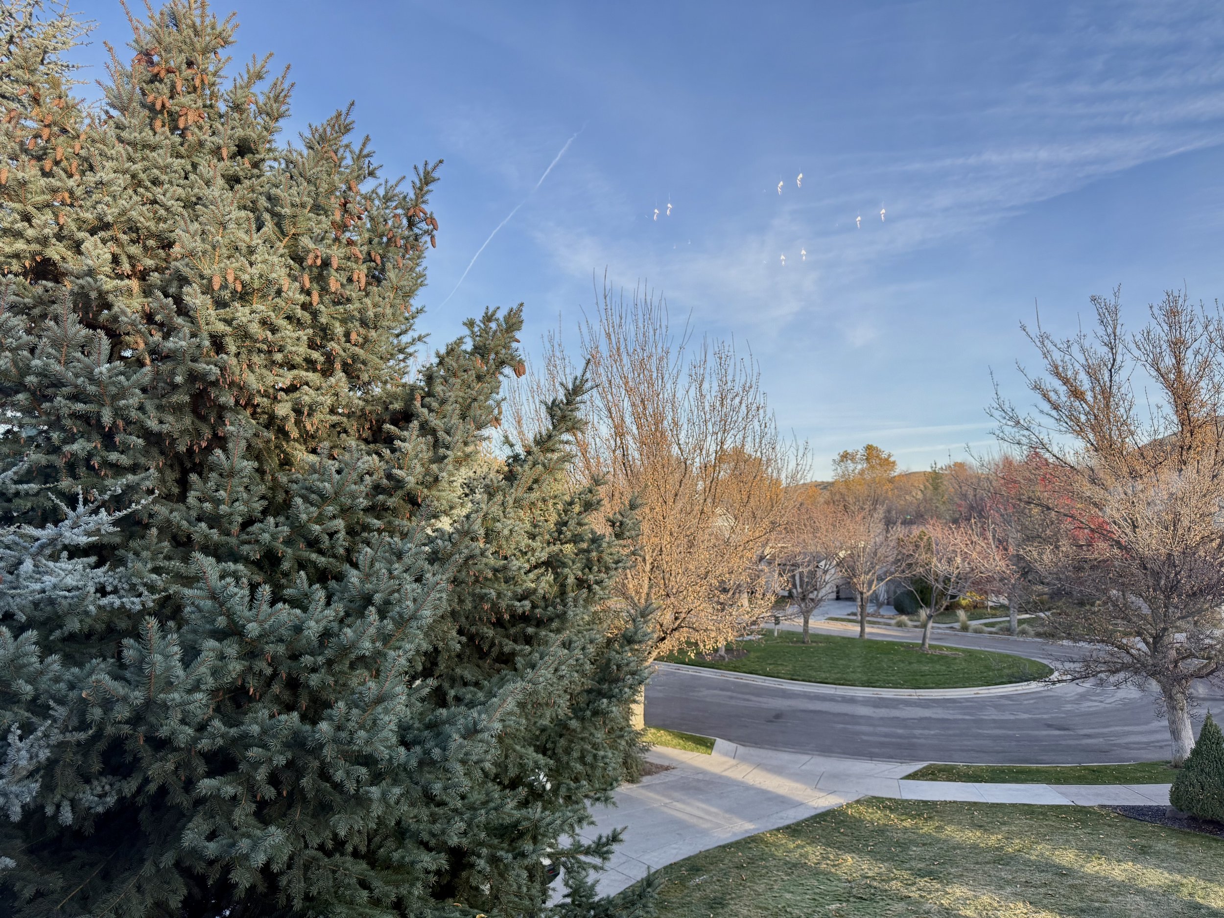 Upstairs - Bedroom 4 - Every Window Looks at Trees...