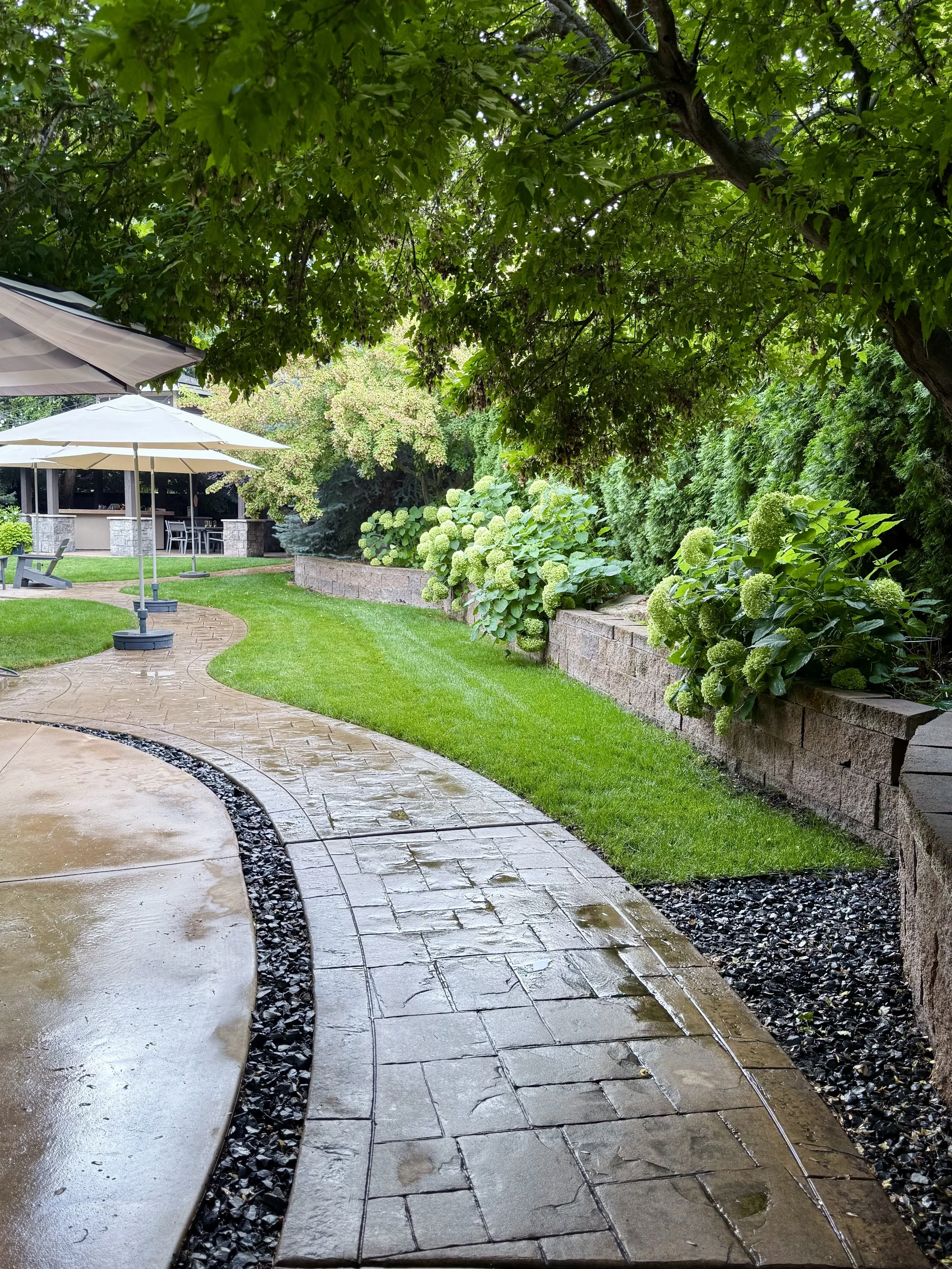 Backyard - Established Walkways and Hardscapes for Easy Maintenance