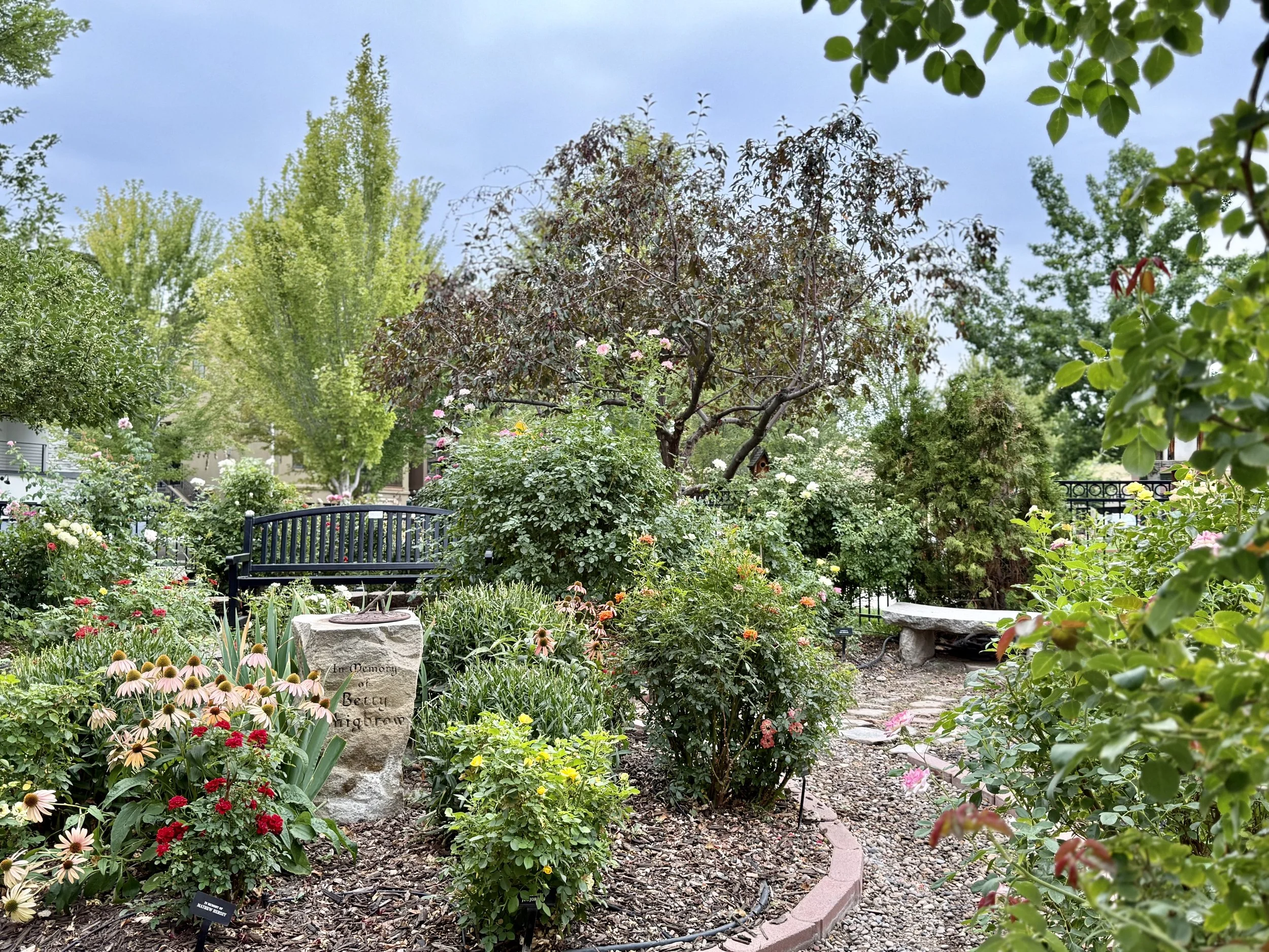 Memorial Rose Garden