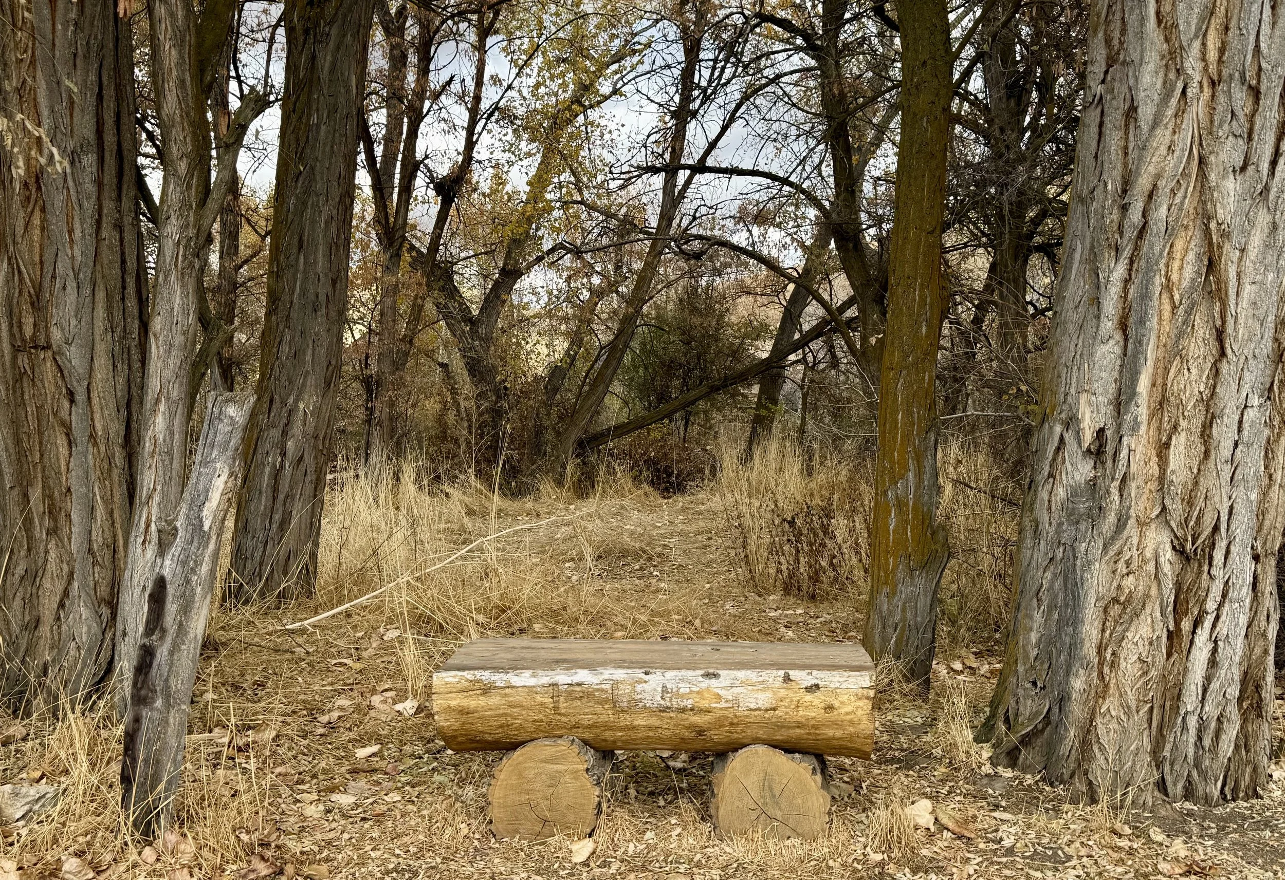 800+ Acres of Open Space