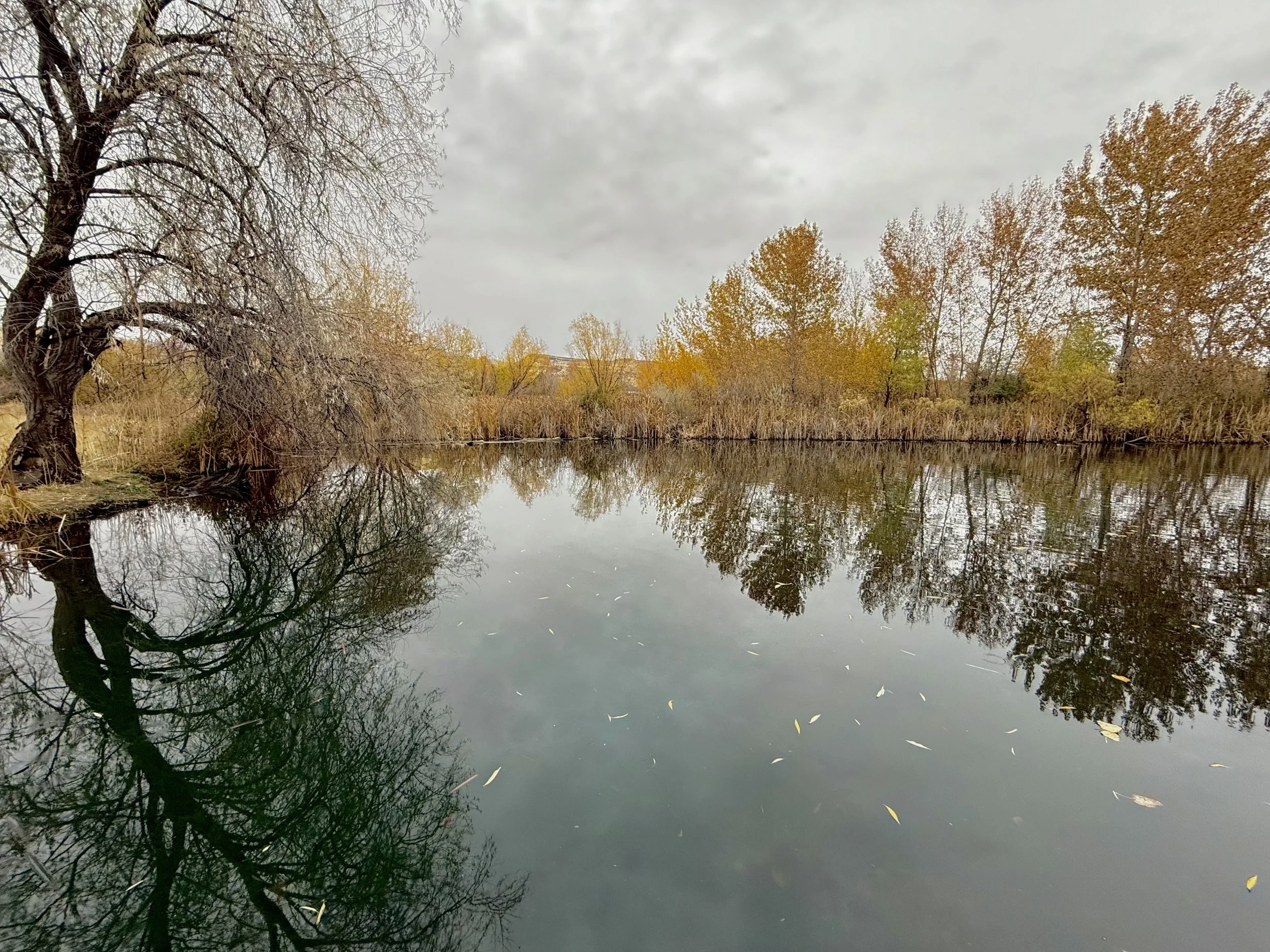 800+ Acres of Open Space