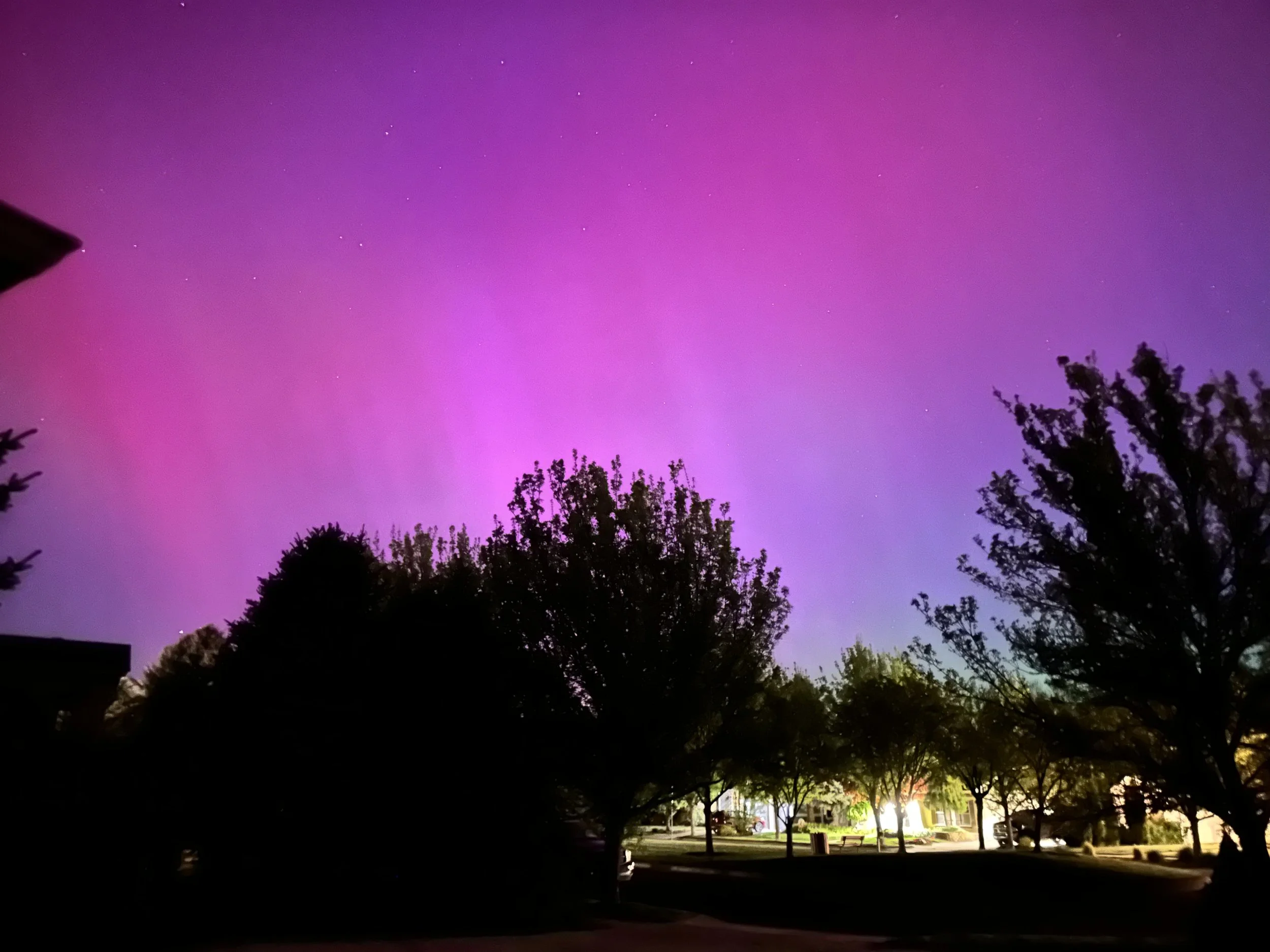 Aurora Borealis - A Rare View from the Front Yard