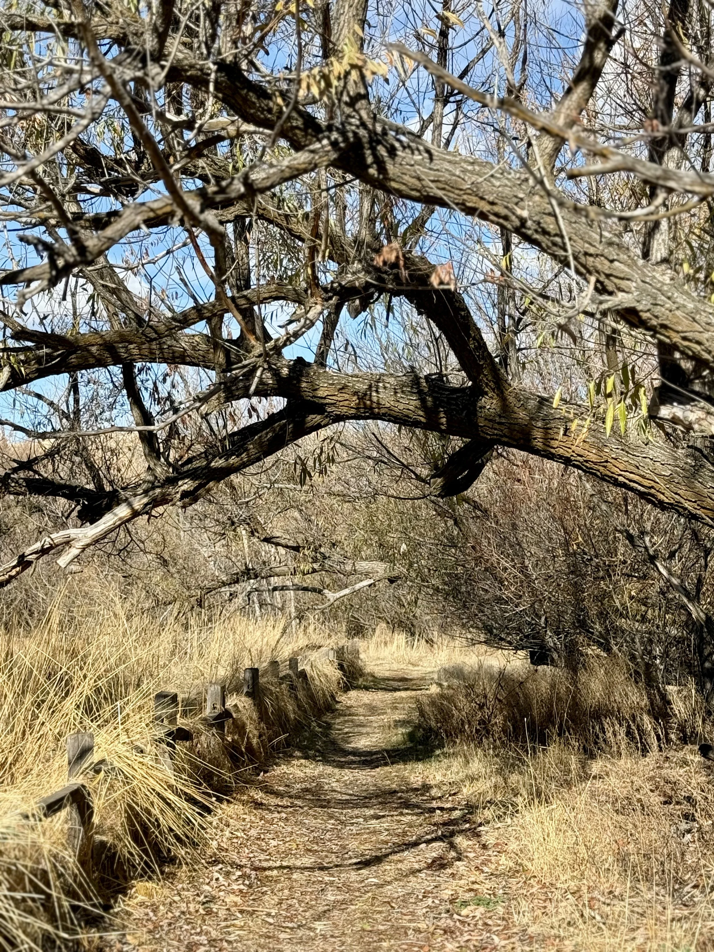 Community Trail System