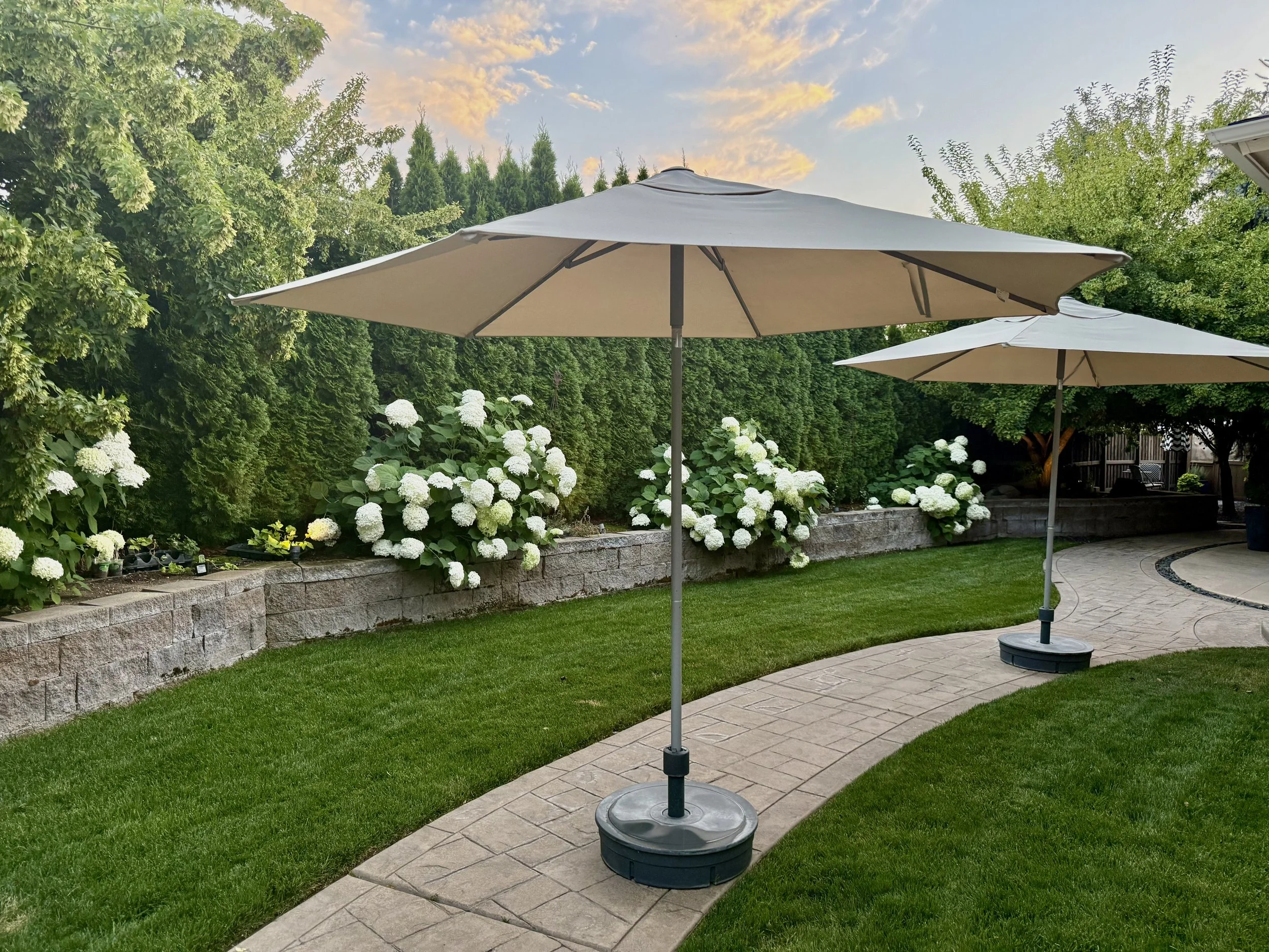 Backyard - Raised Tree and Flower Beds Maintain Complete Privacy