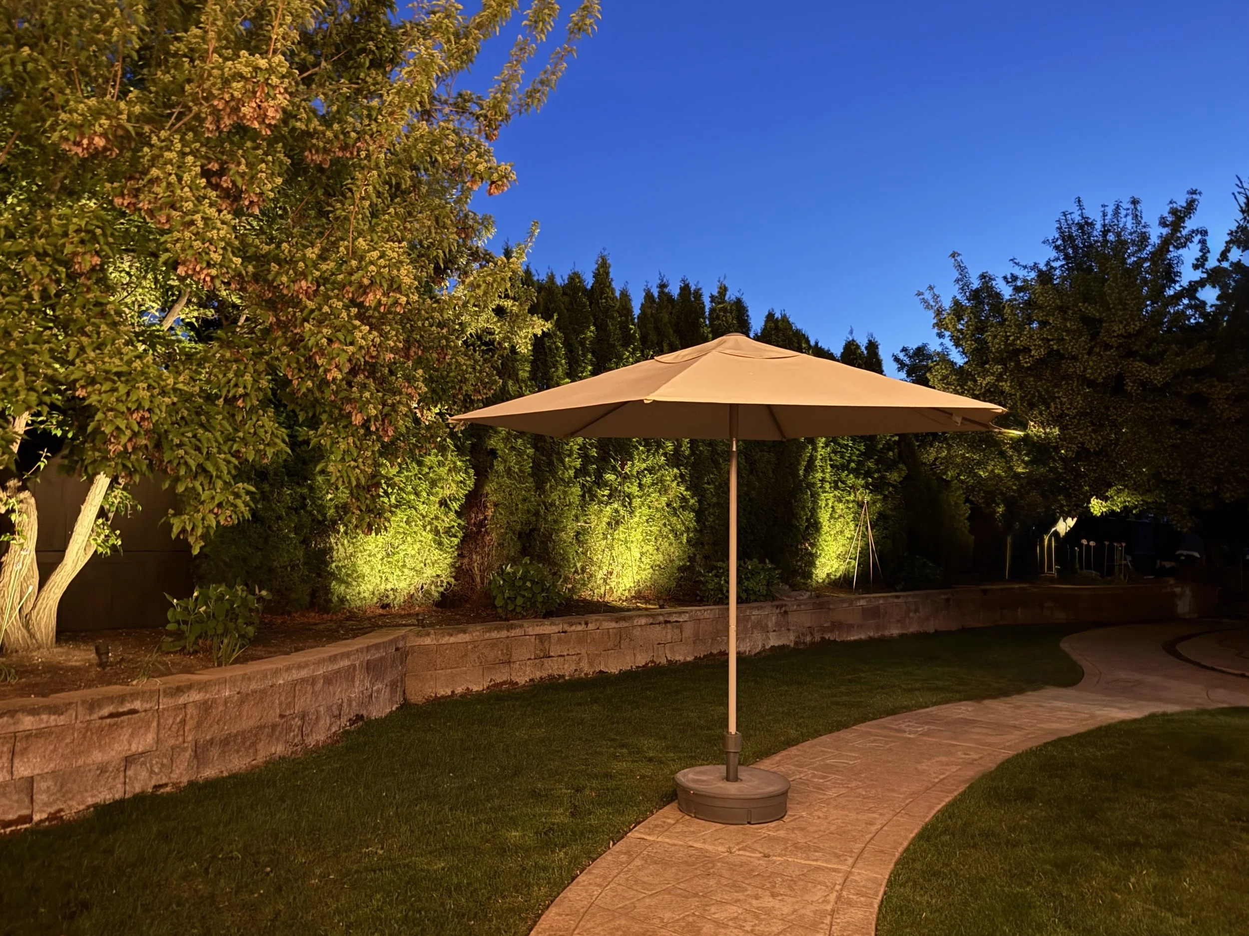 Backyard - Incredible Accent Lighting with Up Lights on Treed Perimeter
