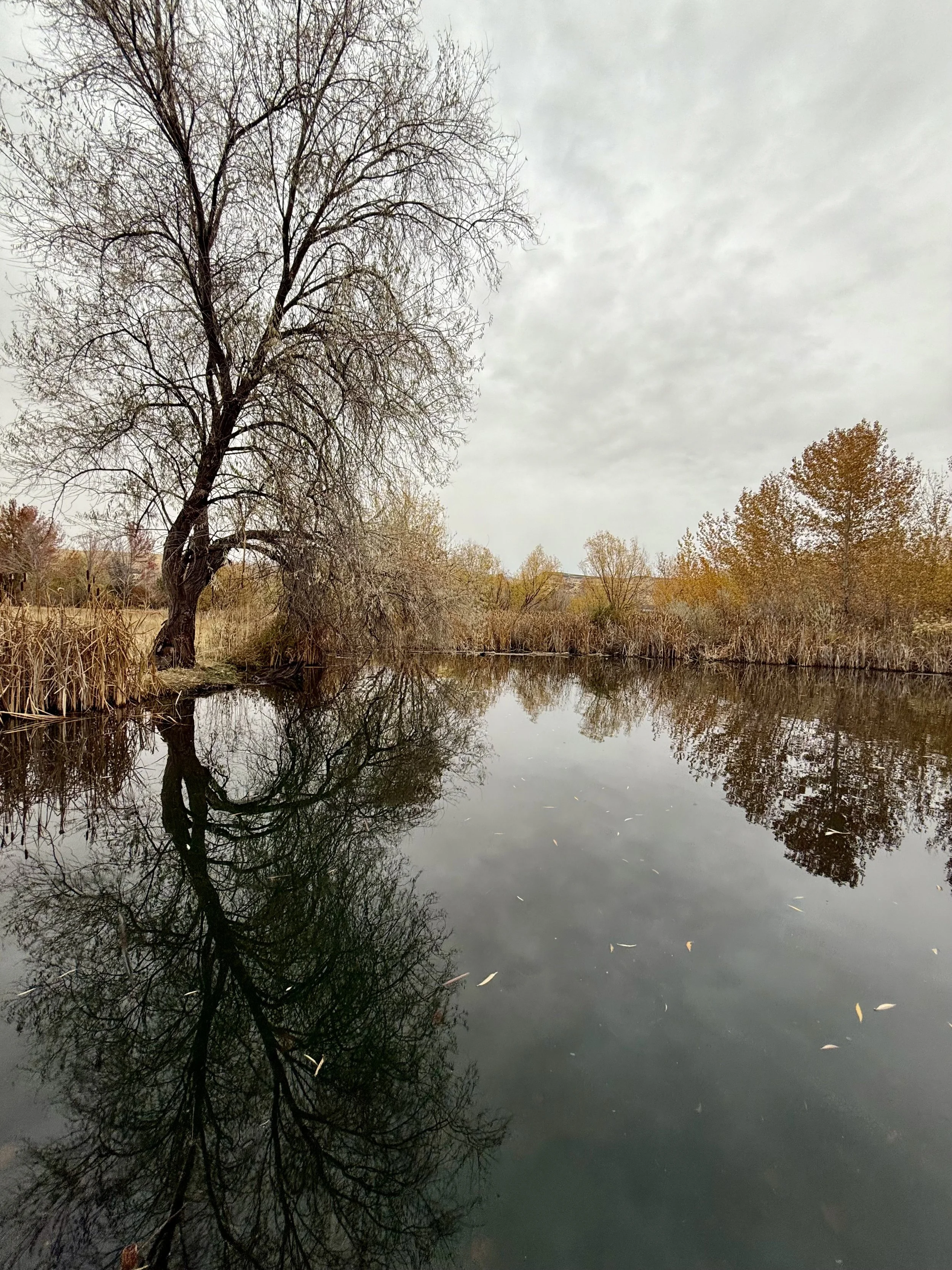 800+ Acres of Open Space