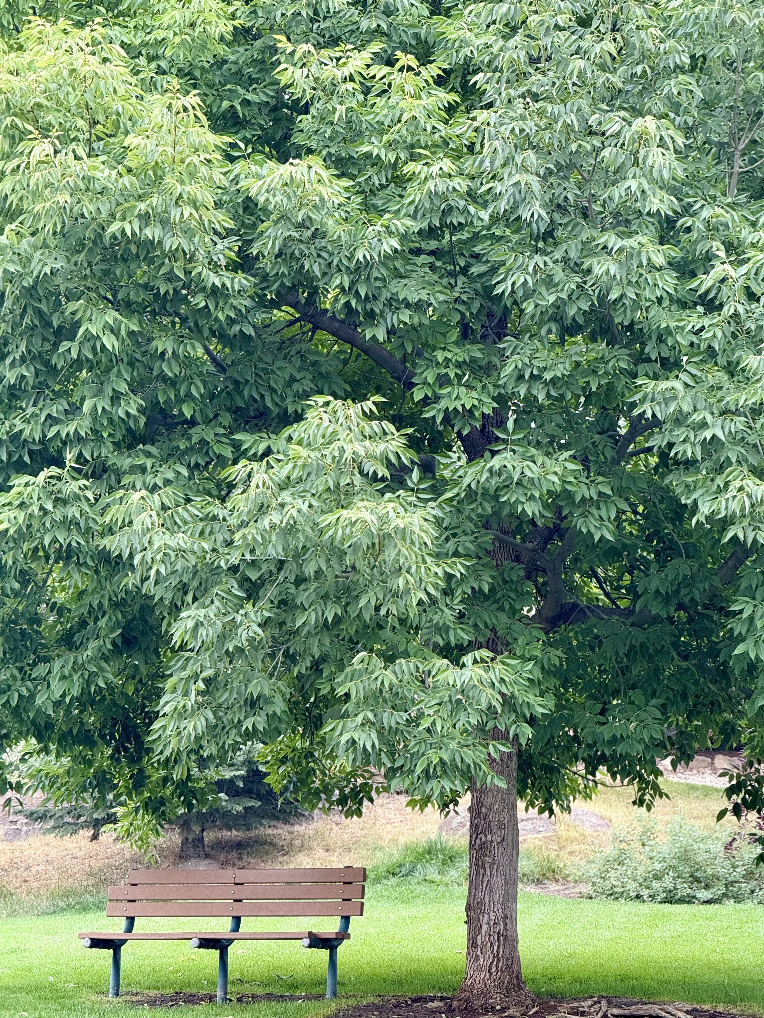 800+ Acres of Open Space