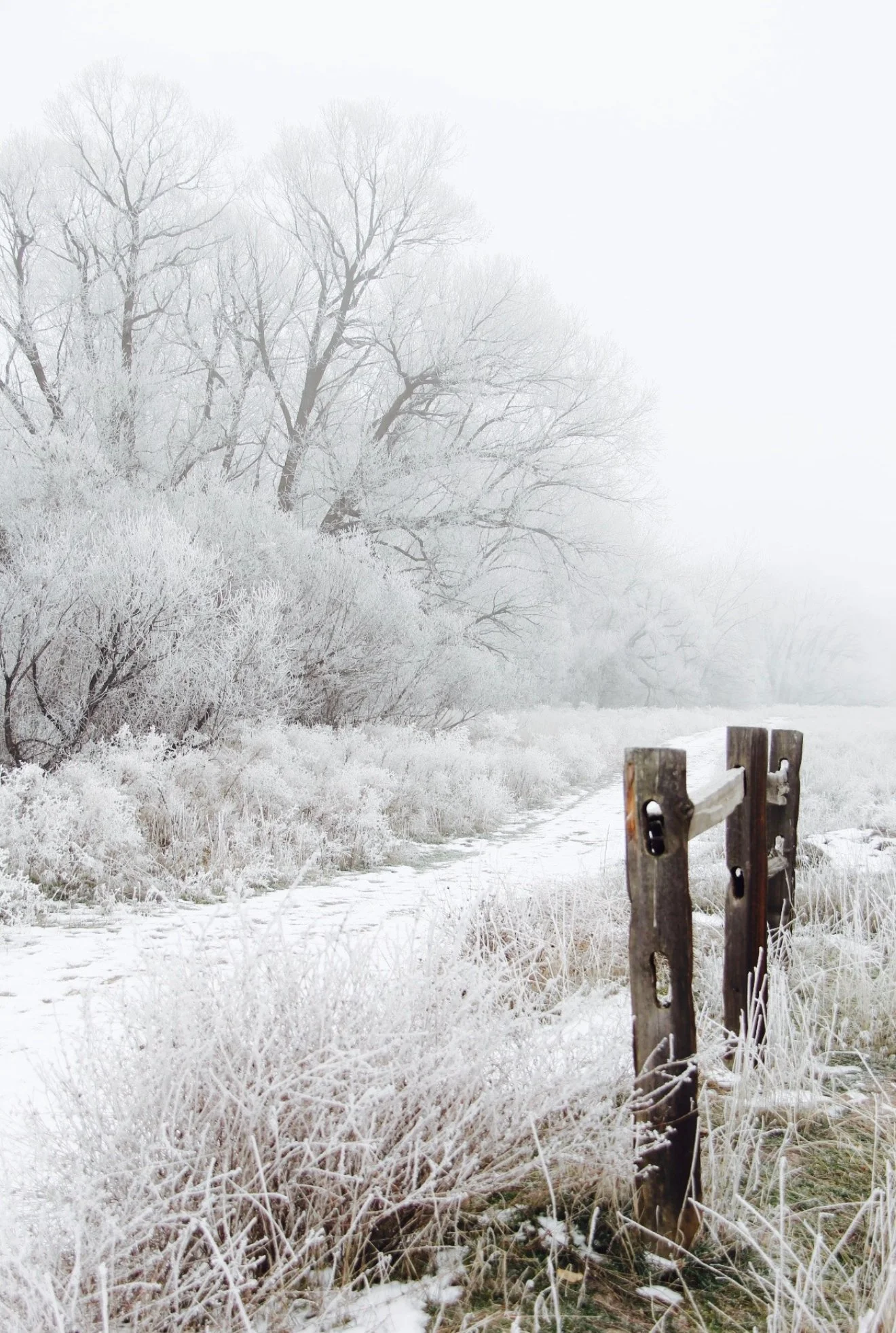 800+ Acres of Open Space