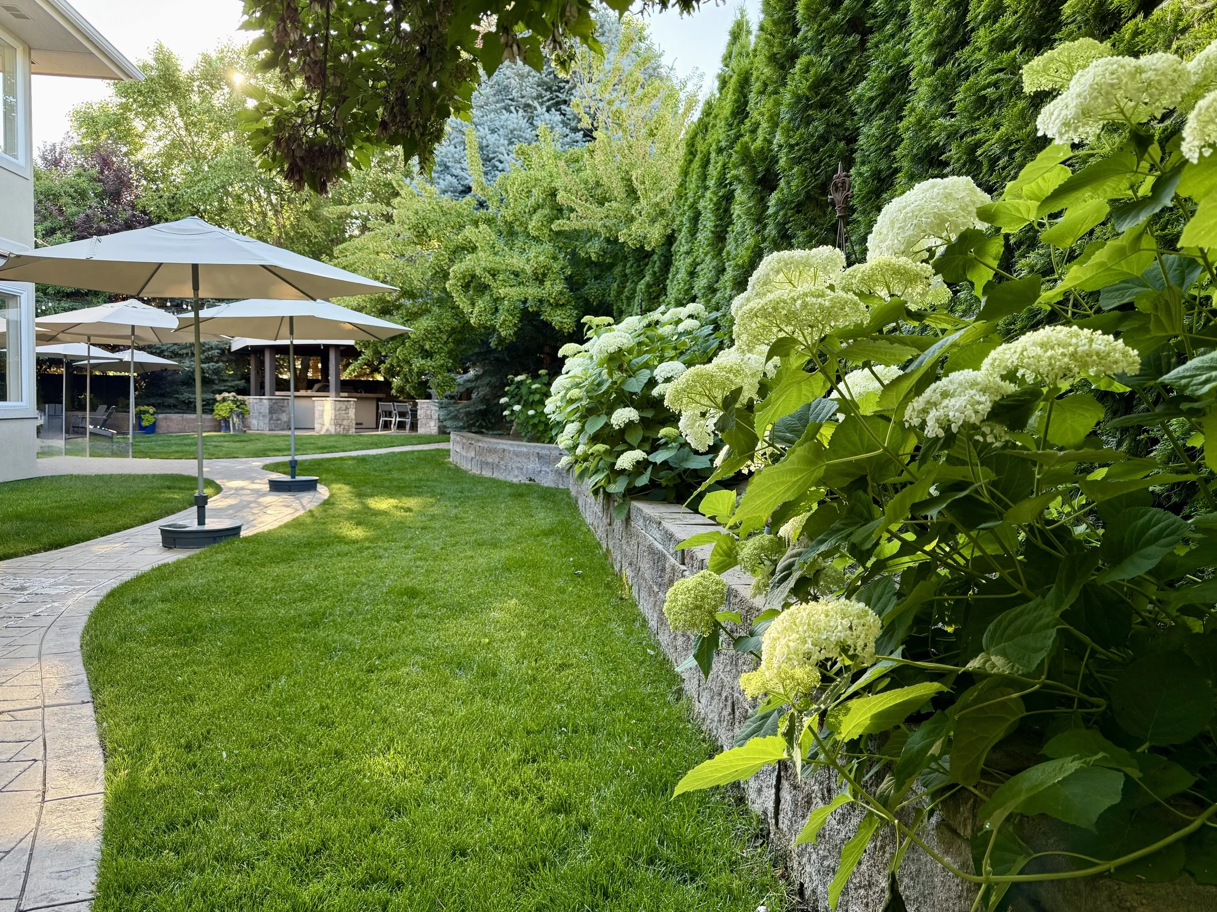 Backyard - Raised Tree and Flower Beds with Perennials That Return Bigger Every Year!