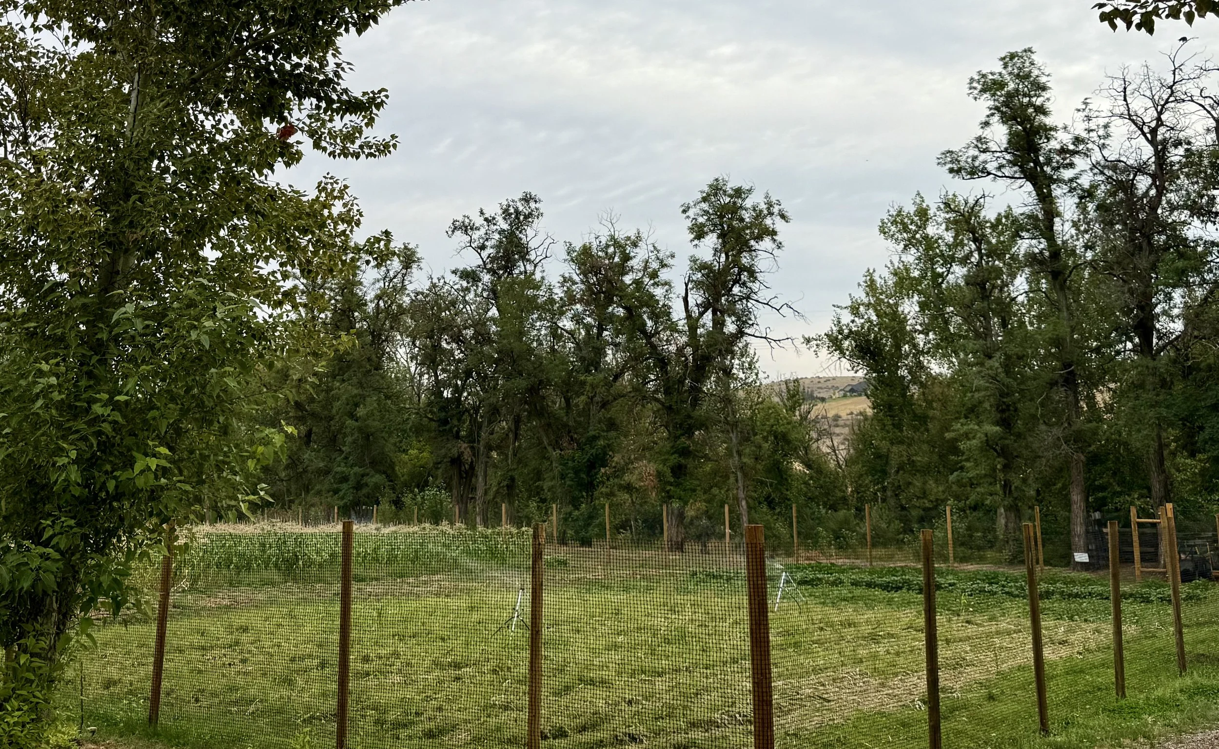 Community Organic Garden & Farm