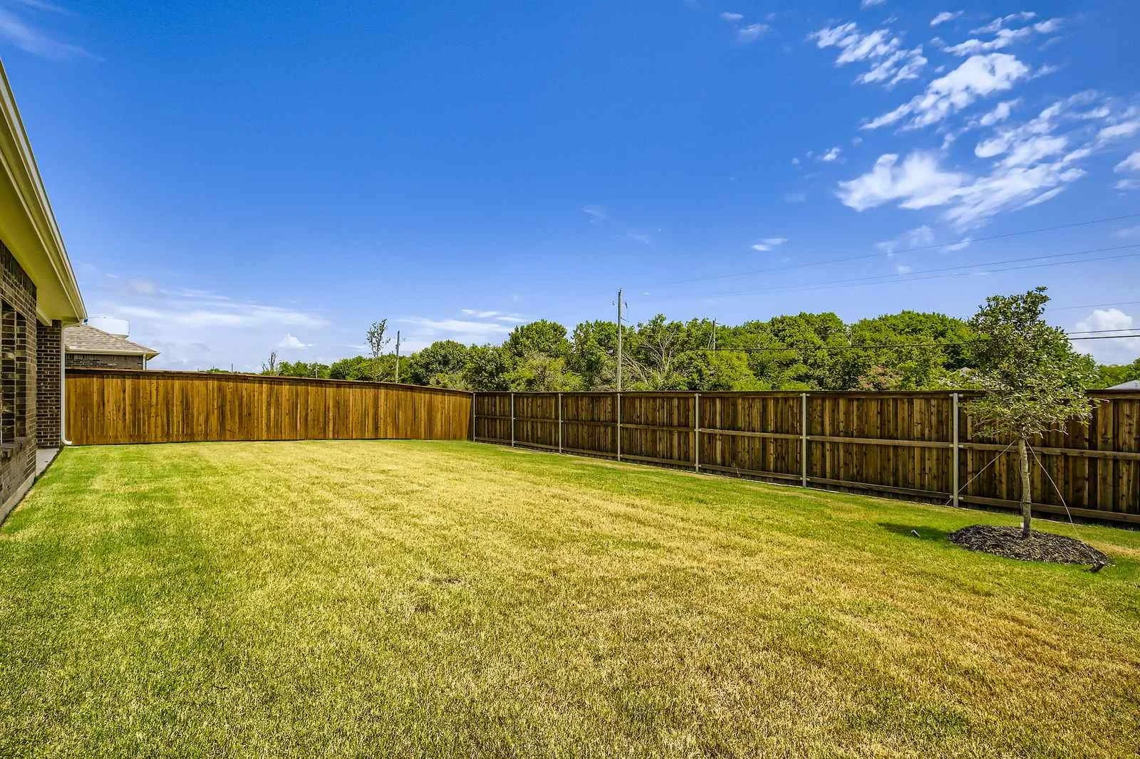 745 VINEYARD WAY - Web Quality - 027 - 31 Backyard.jpg