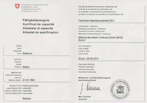 Fähigkeitszeugnis Fachmann Betriebsunterhalt EFZ von Marko Zlatkovic