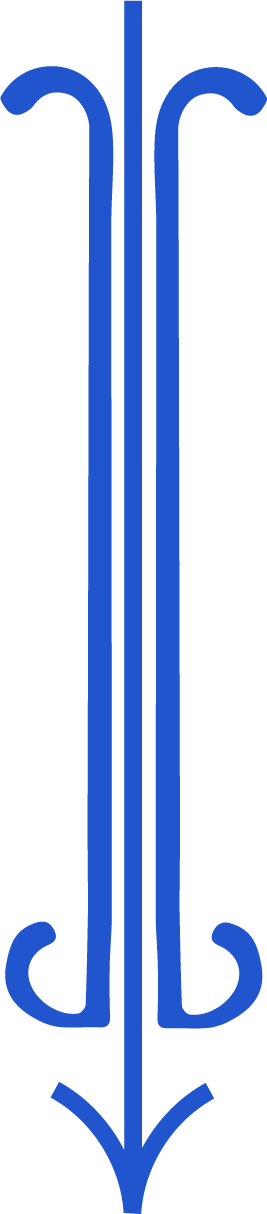 decorative arrow pointing downward