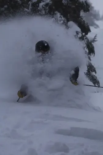 16-17-powder (1).webp