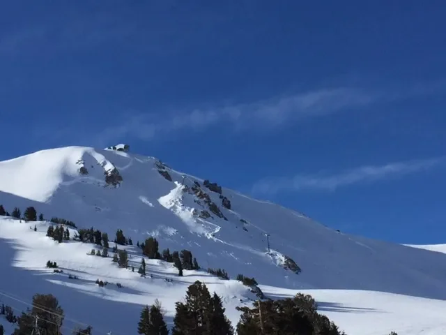 16-17-drop-outs-a (1).webp