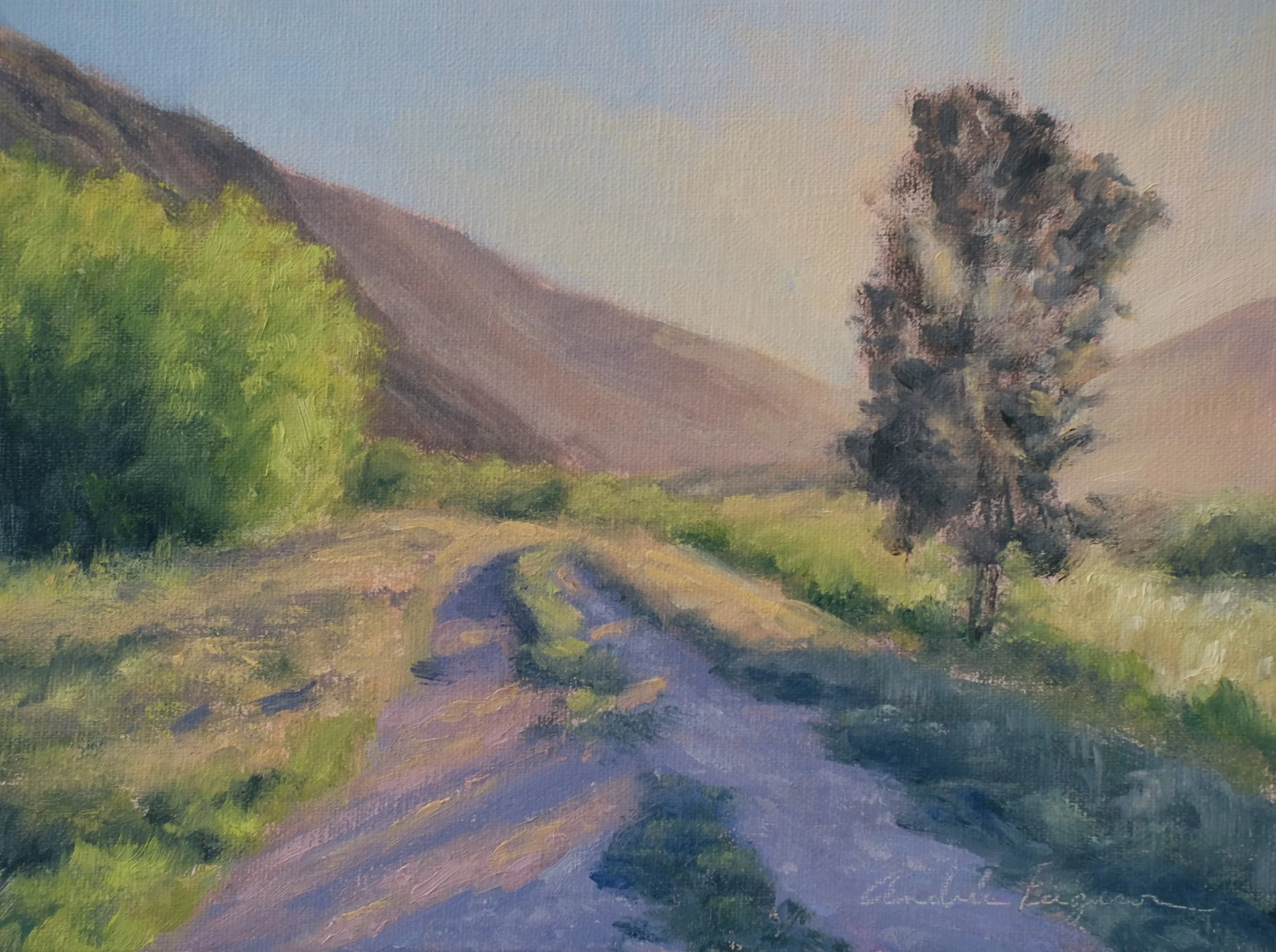 Early Morning Shadows