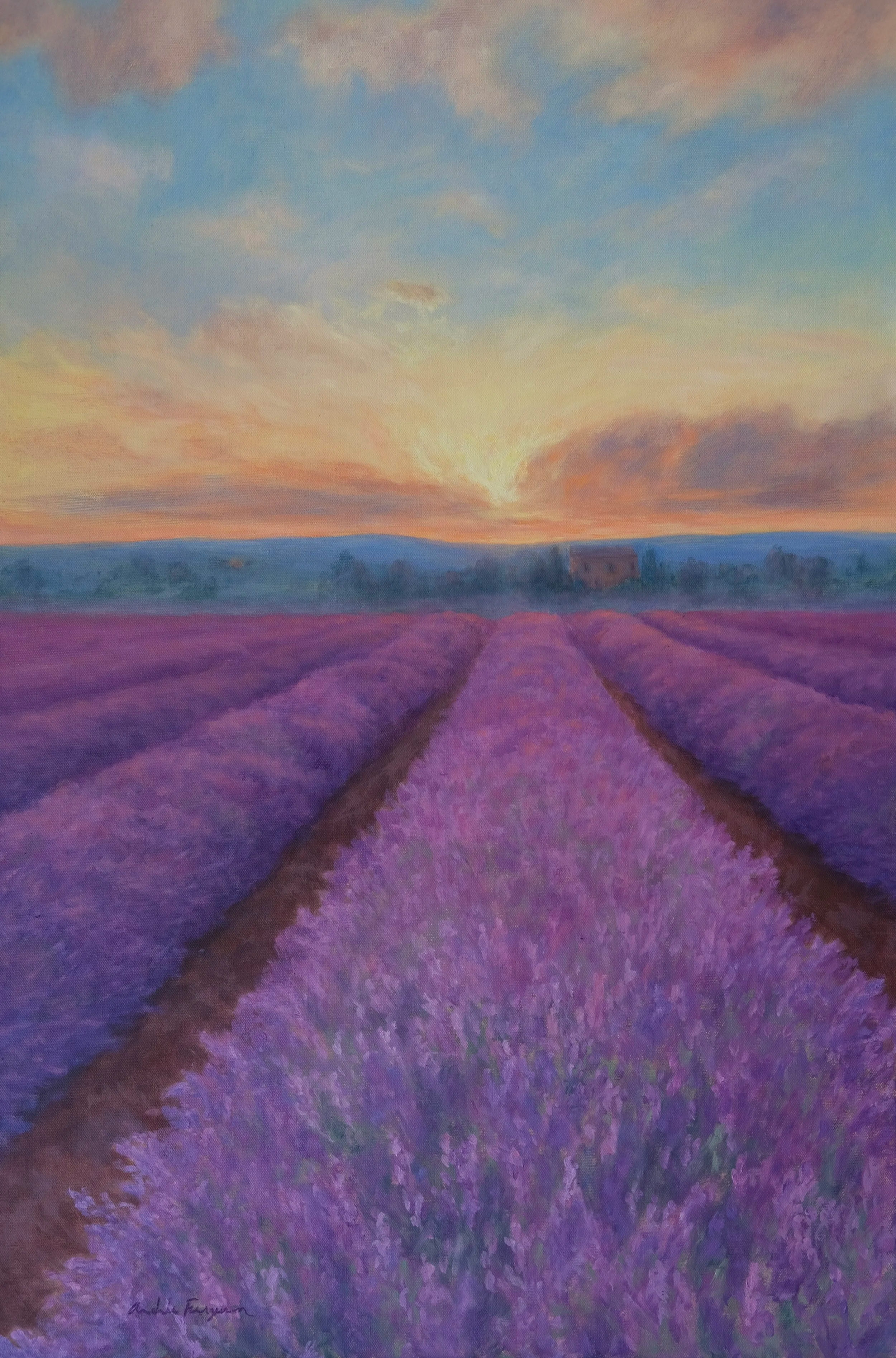 Dreaming of Provence