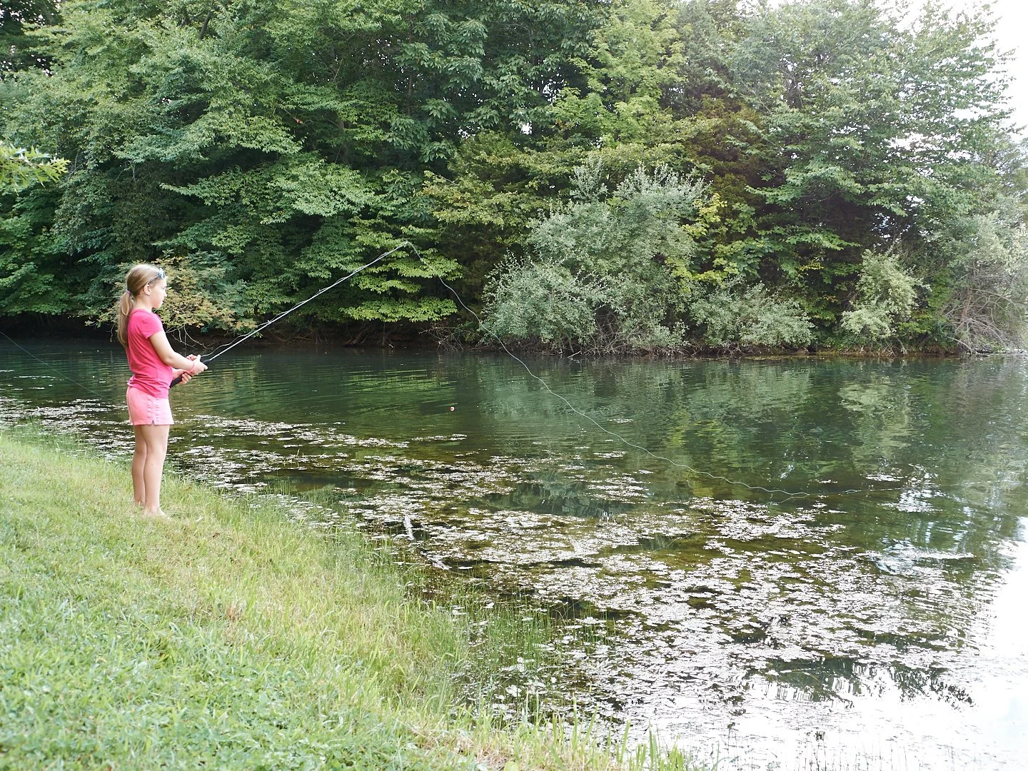 P1080323.jpg