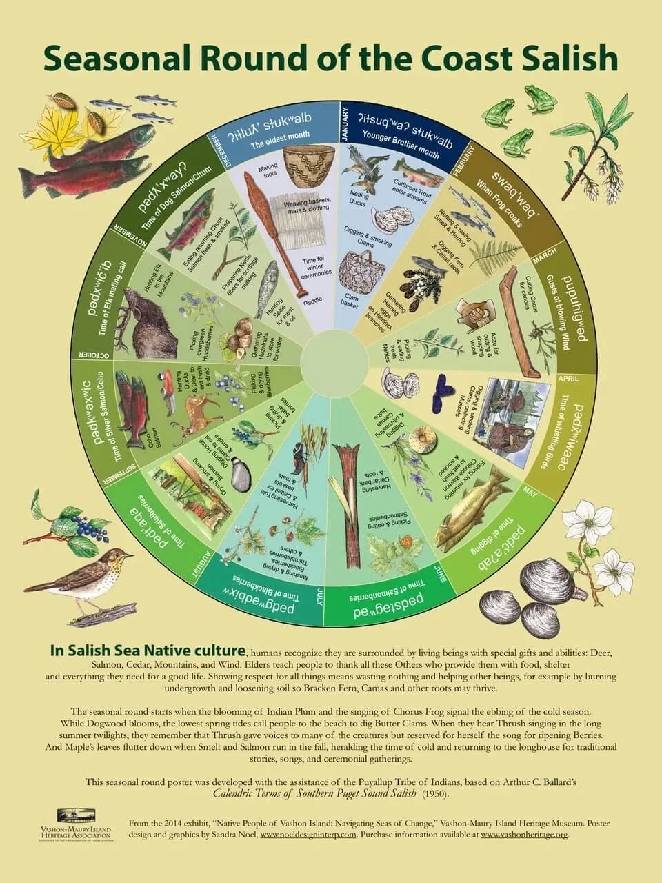 Coast Salish Seasonal Round Poster