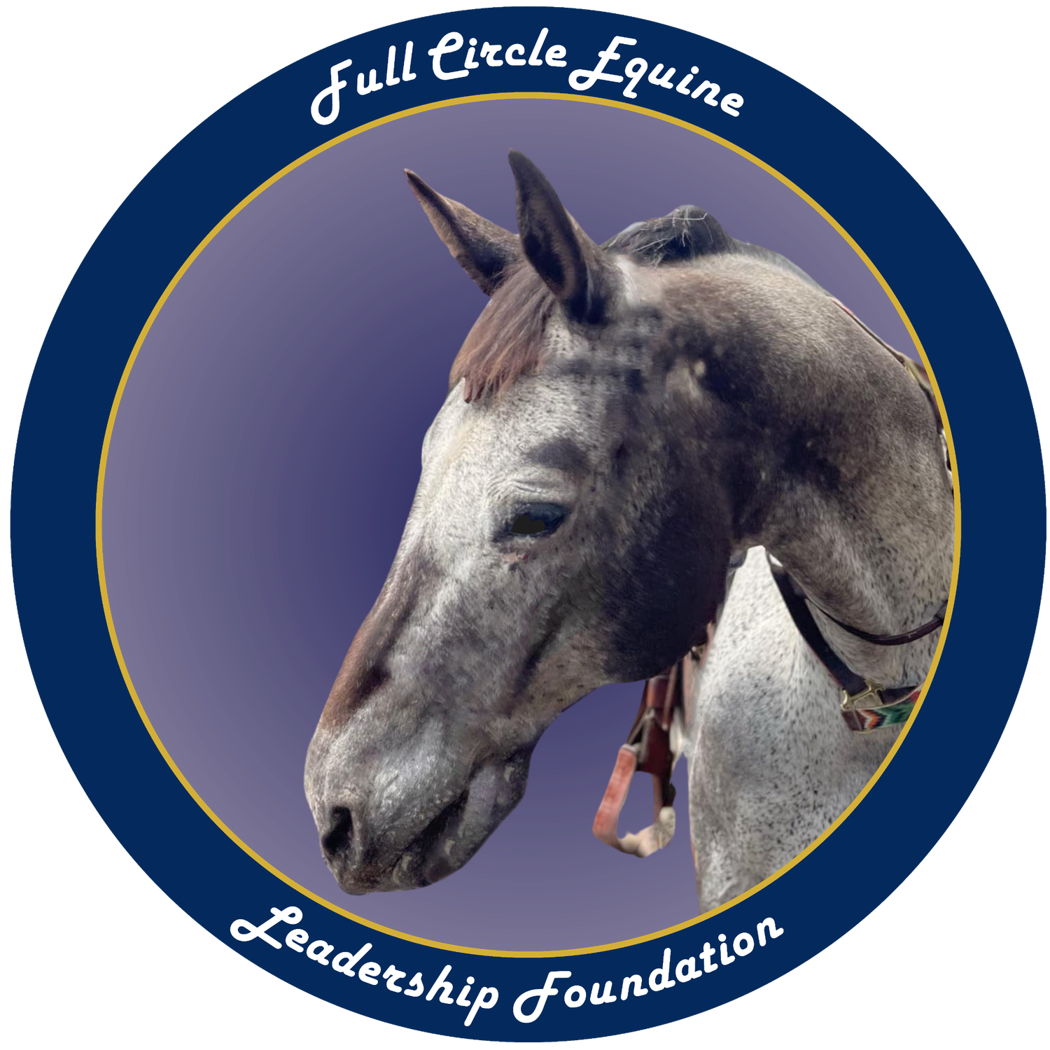 Full Circle Equine Leadership Foundation