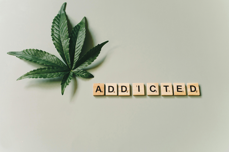 Help When You Don't Know What to Do About a Loved One's Addiction in Lethbridge