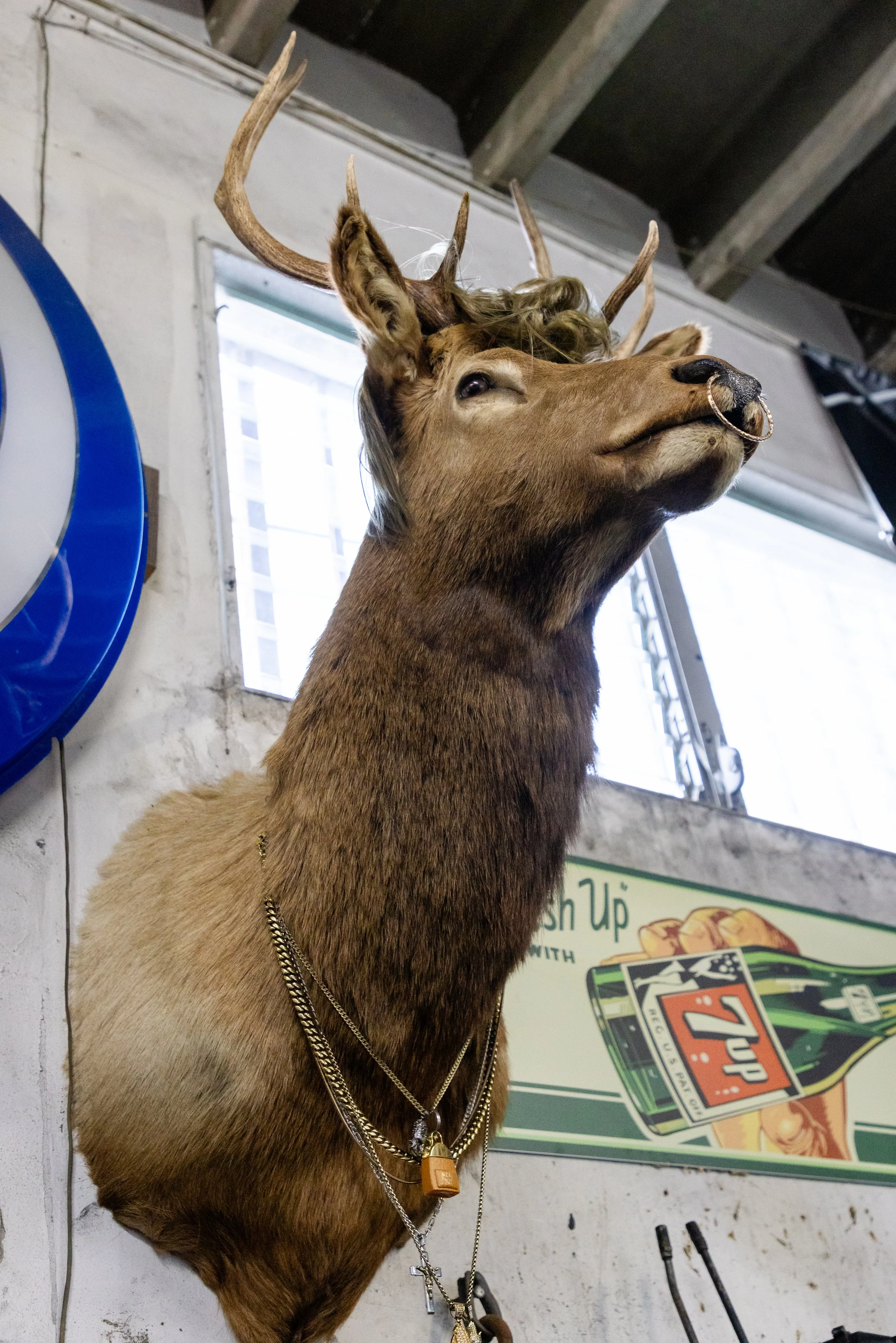 Tony Garage 102625-1008.jpg