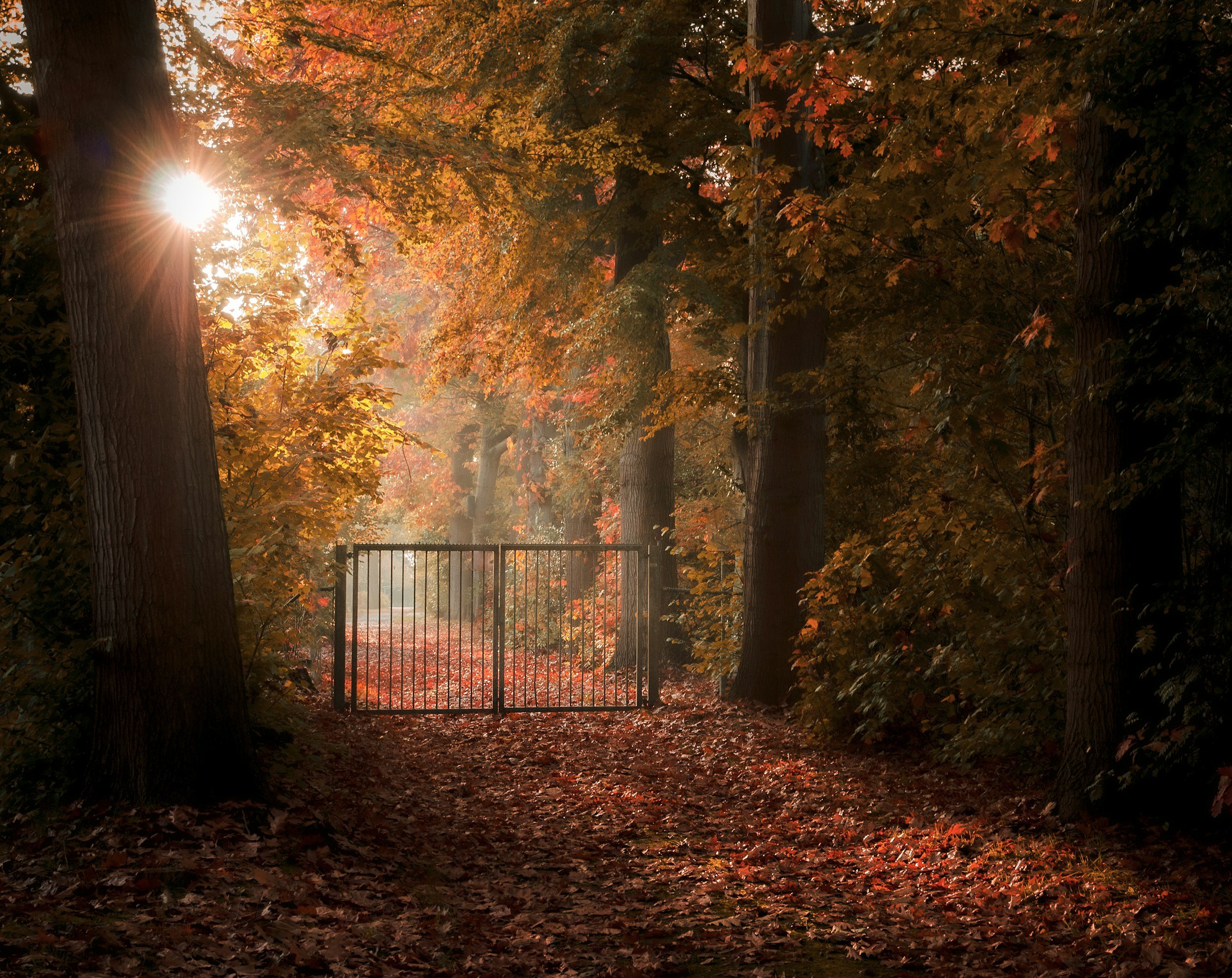 Thresholds, Scripts, and the Quiet Architecture of Choice