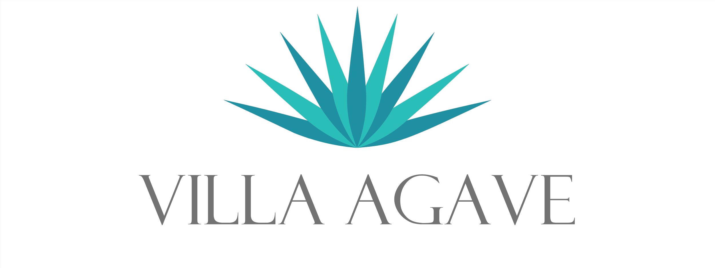 Villa Logo - High resolution.png