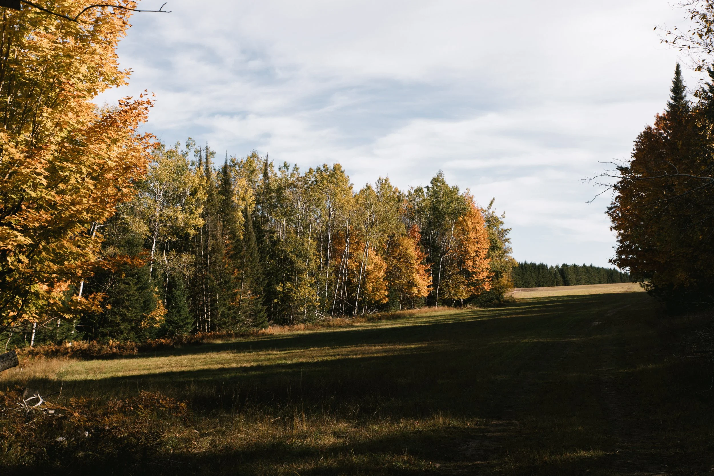 Fall colors in Northern Michigan
