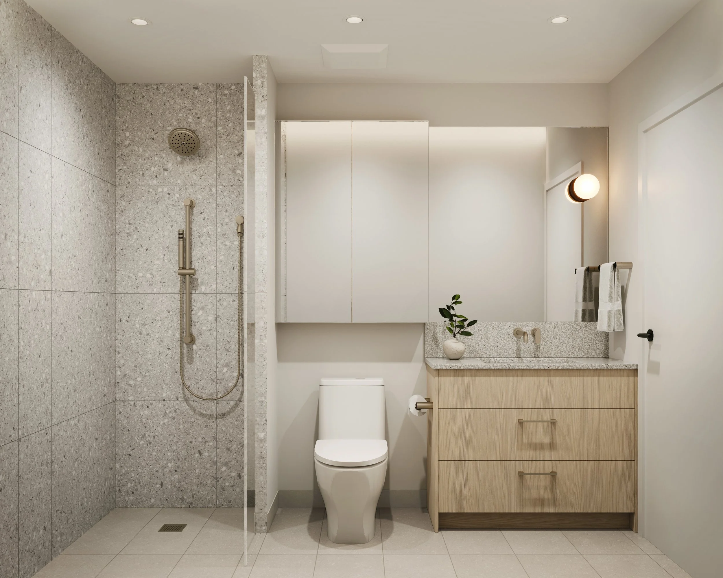 Modern bathroom featuring a walk-in shower with two grab bars, a toilet, and a wooden vanity with a granite countertop and a mirror. Decor includes a small plant and towels, with neutral color tones and recessed ceiling lights.