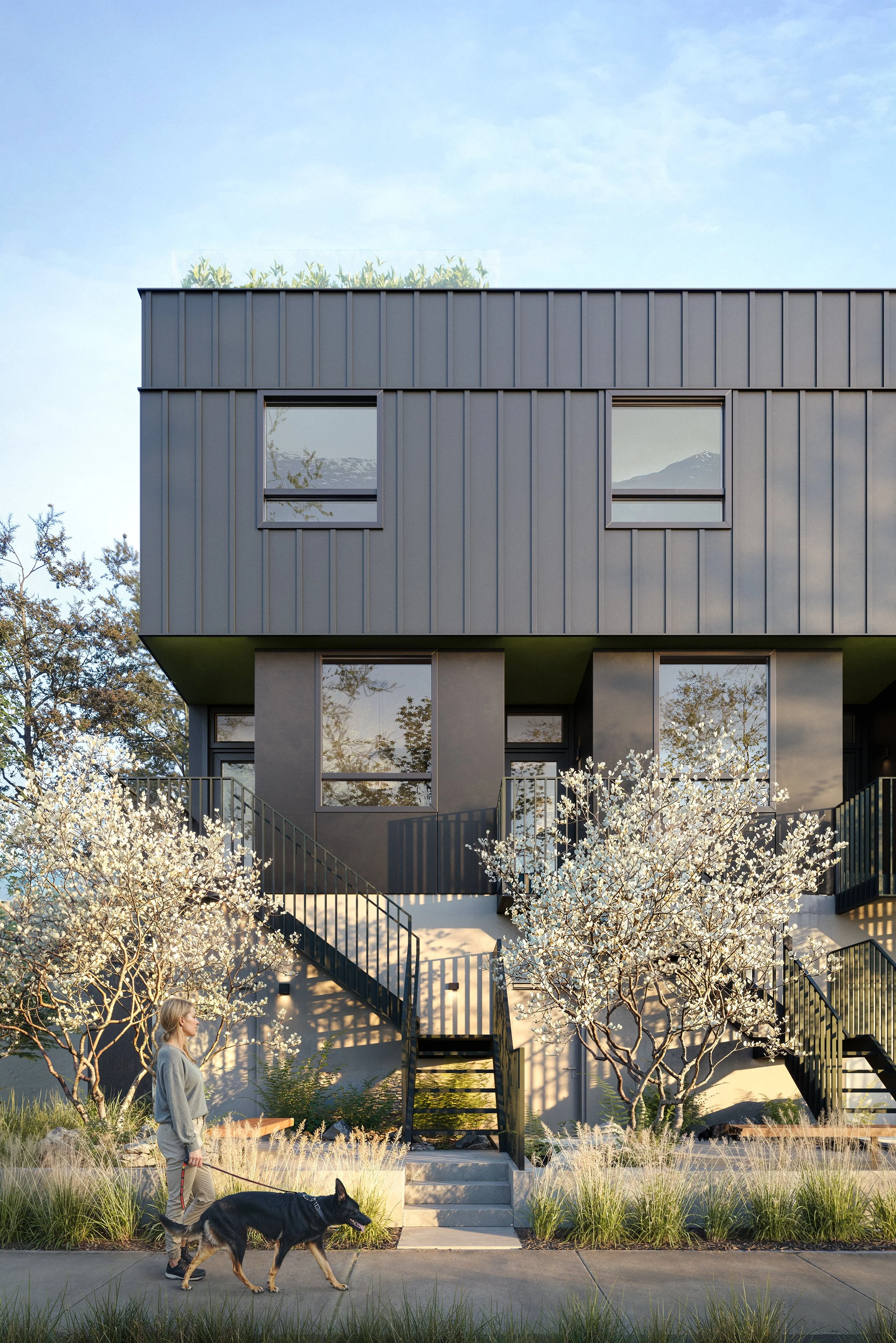 A modern multi-story building with gray metal and black exterior, front stairs, and surrounding trees with white blossoms. A woman walks a dog on the sidewalk in front of the building.