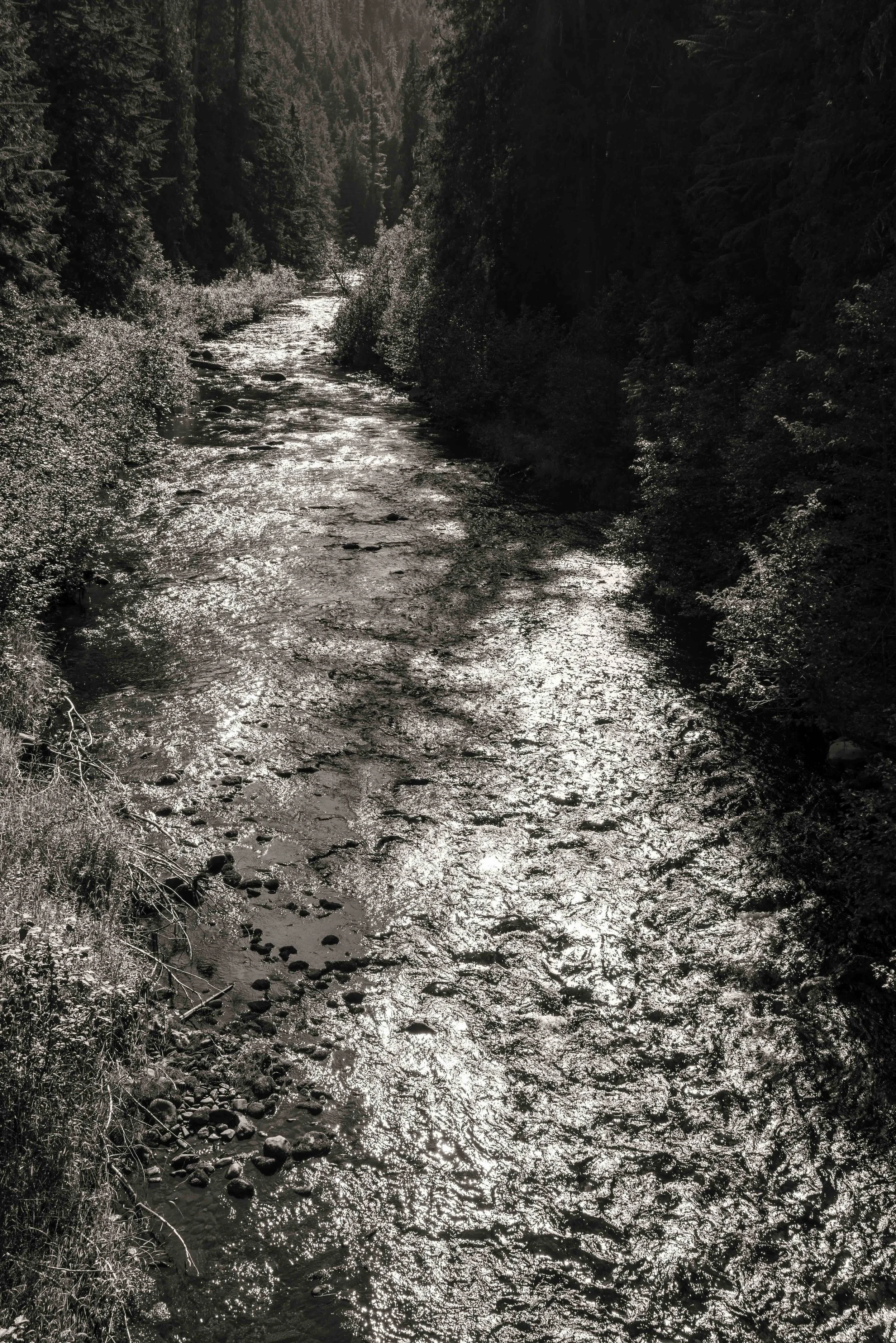 L1002746.jpeg