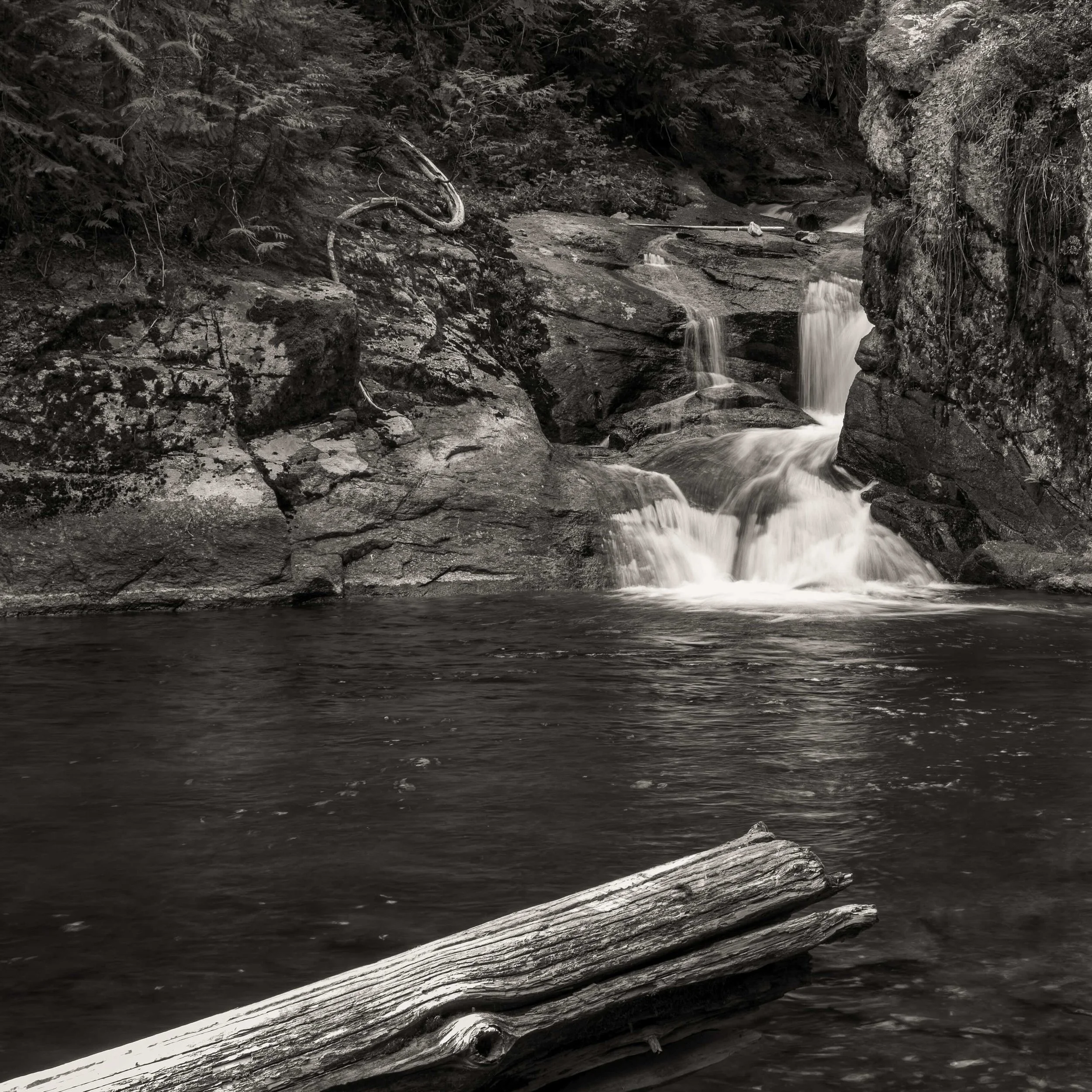 L1002702bw.jpeg