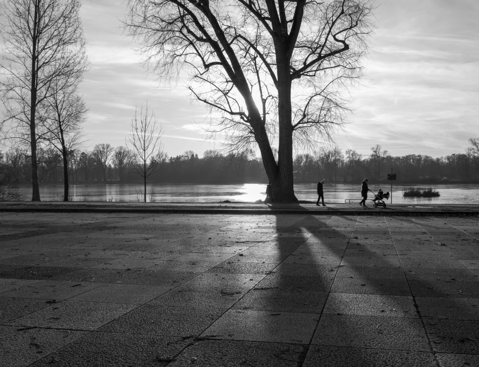 L1001328.jpg