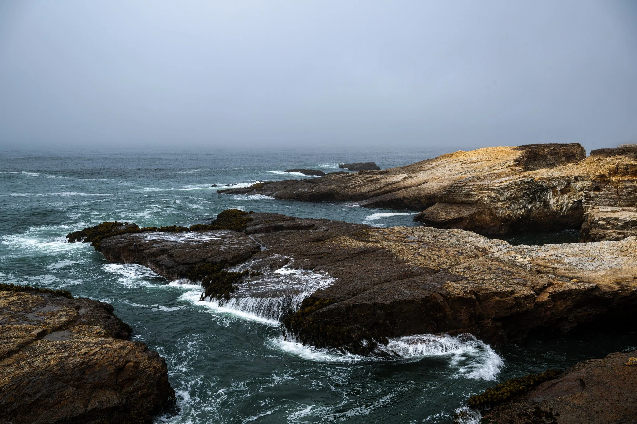 DSC_5722-Enhanced-NR.jpg