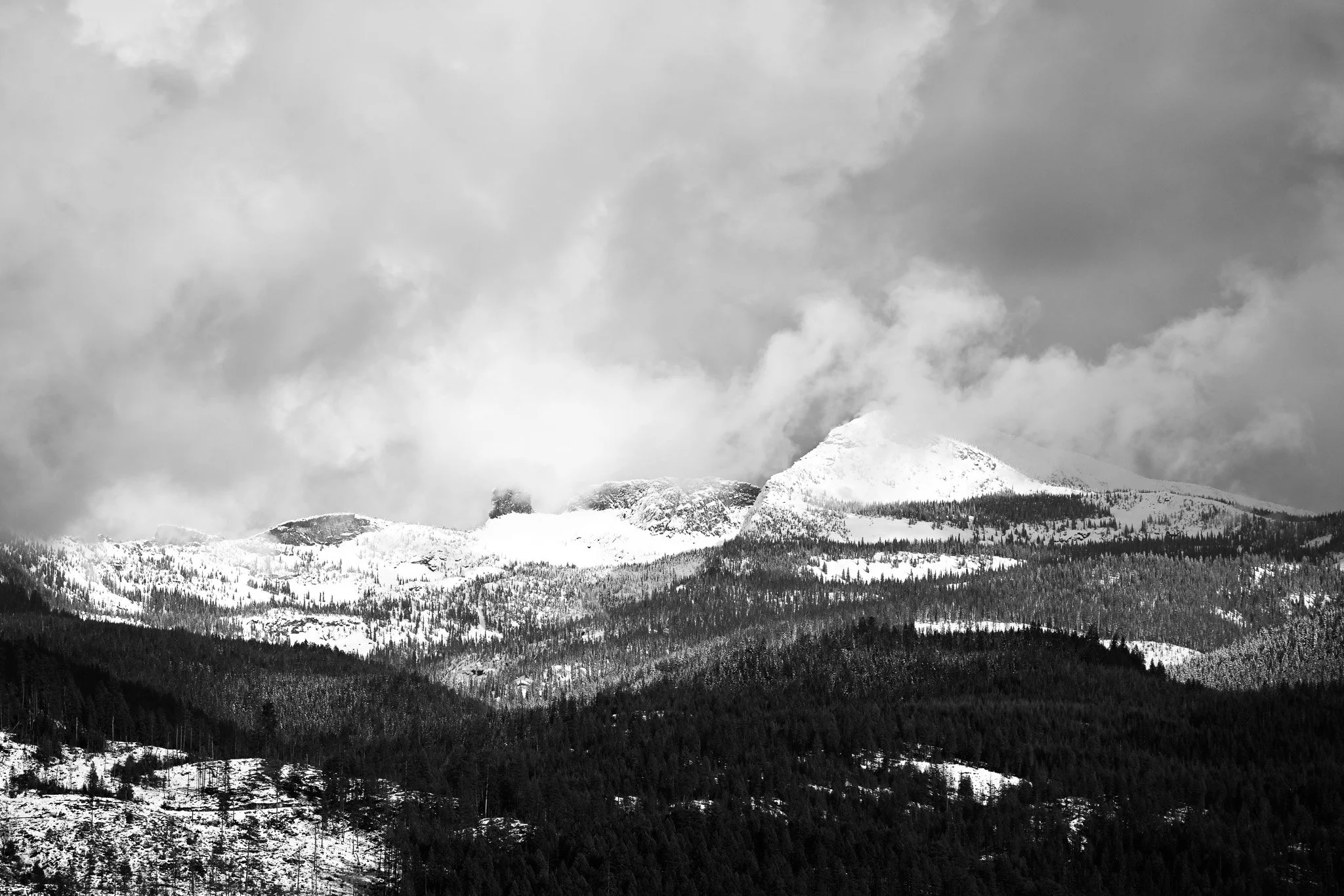 DSC_0468.jpg