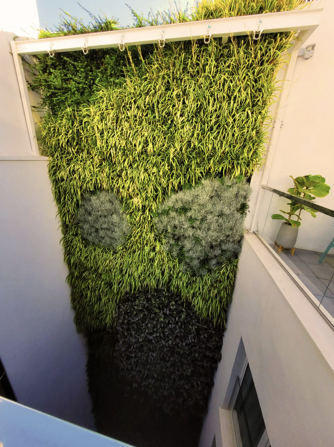 Rope access technician installing and maintaining a vertical garden on a high wall, showcasing professional green wall maintenance services in Australia.