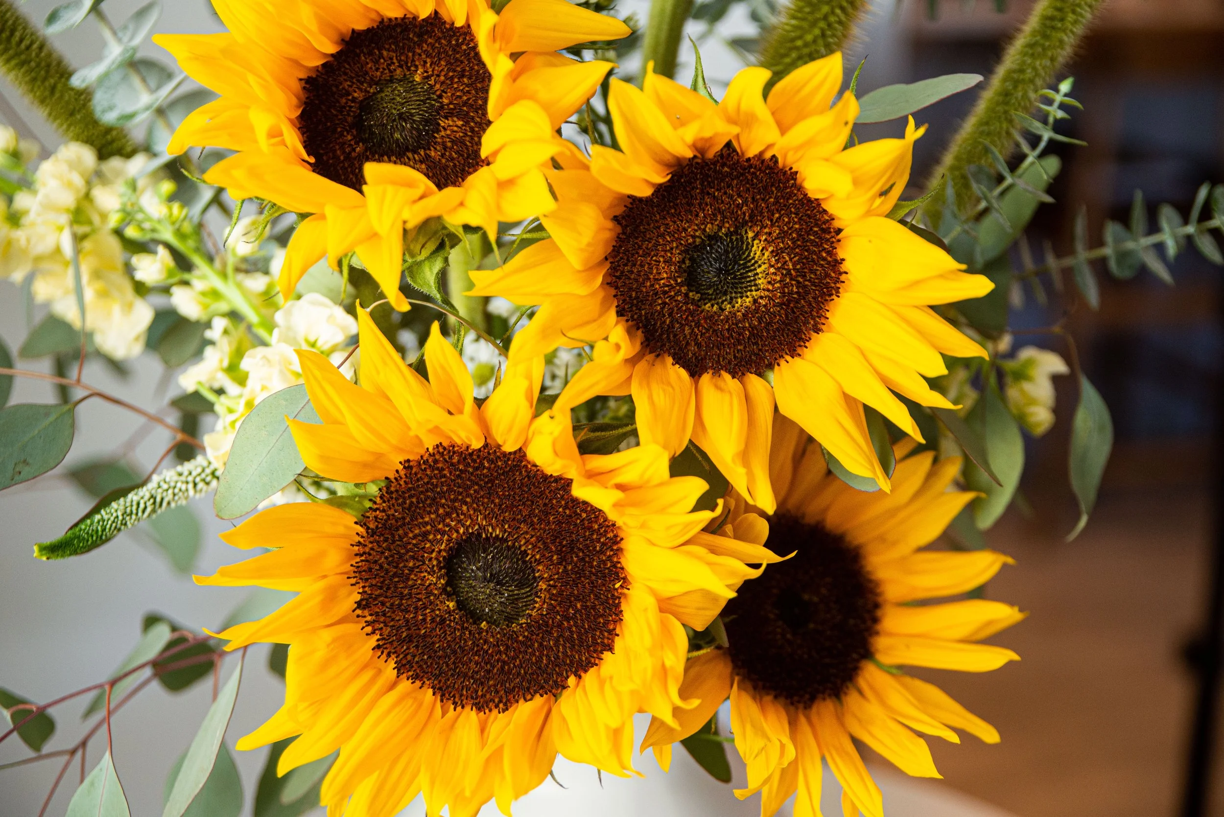 Close-up of a bouquet of sunflowers with bright yellow petals and dark centers, surrounded by green and pale leaves.
