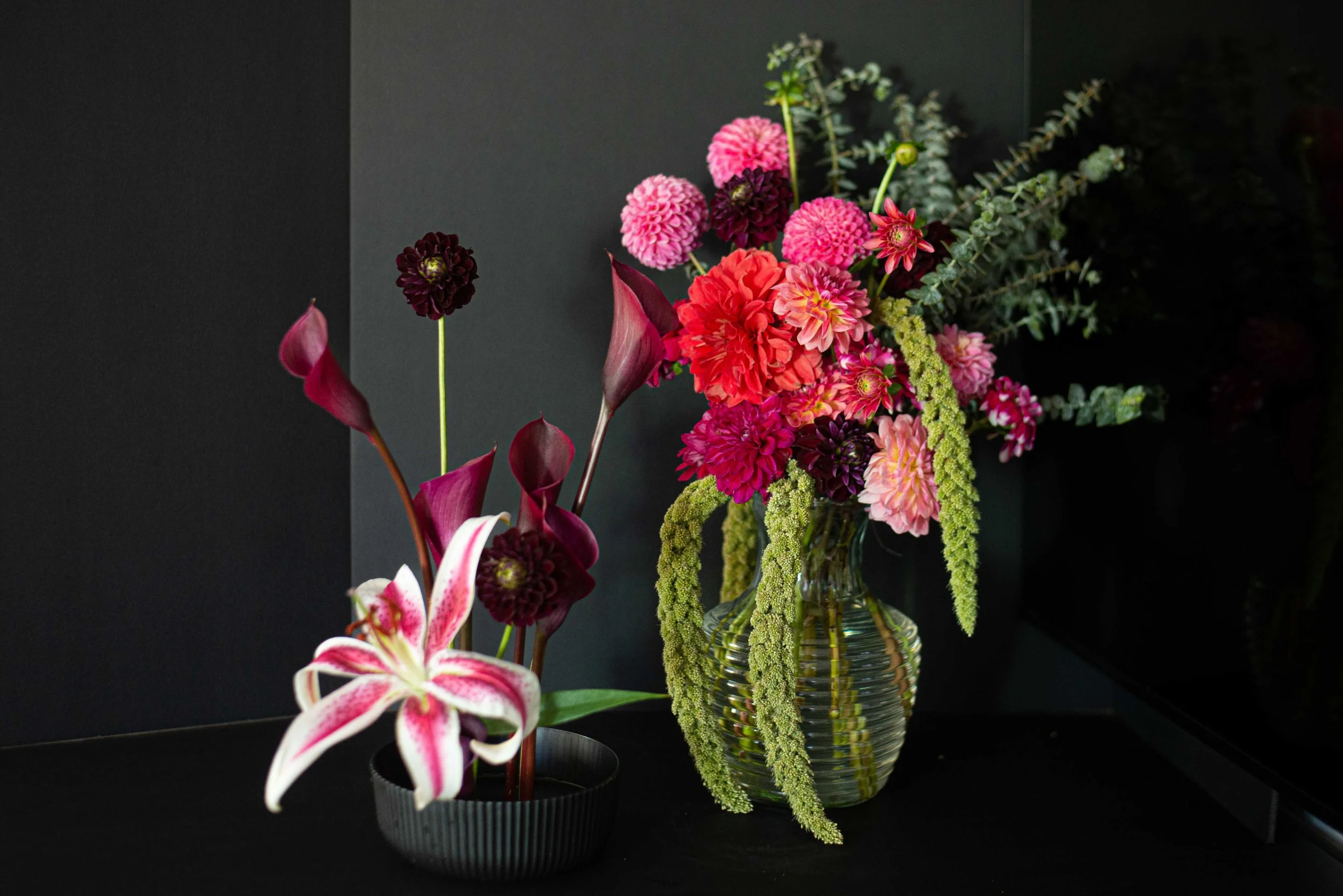 inseason _ clt zinnia-6435.jpg