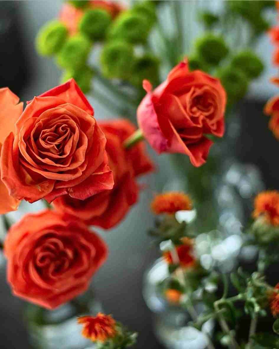 Close-up of orange and pink roses and small orange flowers in a bouquet with green foliage, blurred background