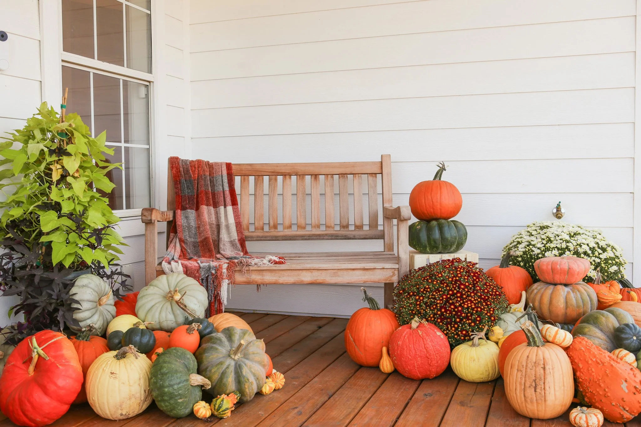 Merlot Harvest Porch Package