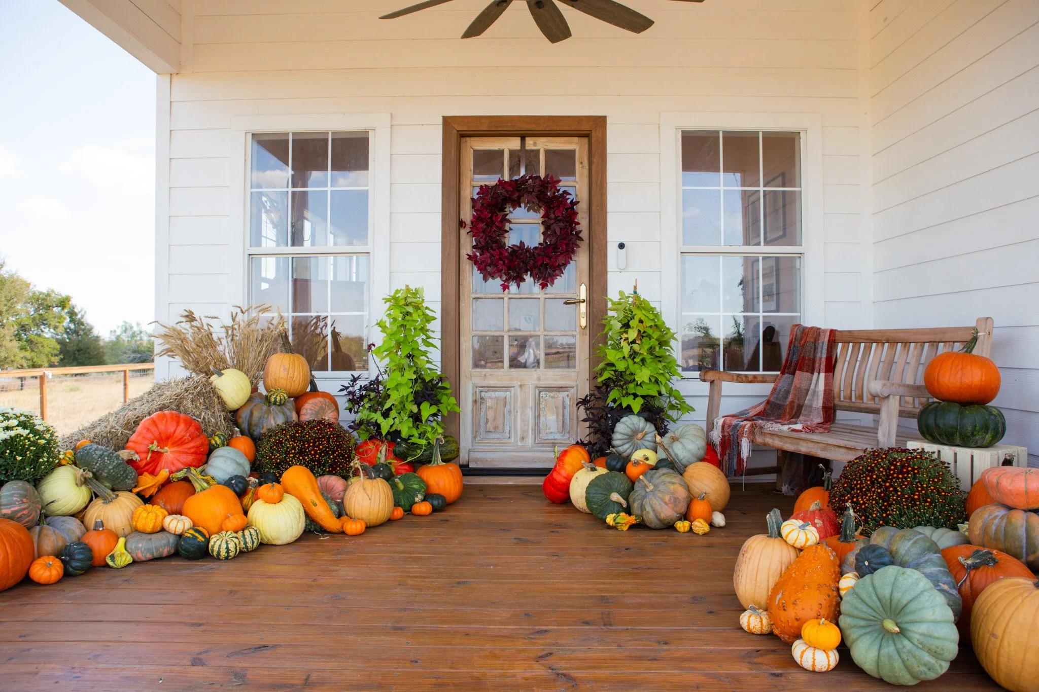 Front porch decorated with pumpkins, gourds, chrysanthemums, and fall harvest items, with a white house, wooden door with a wreath, and a bench.