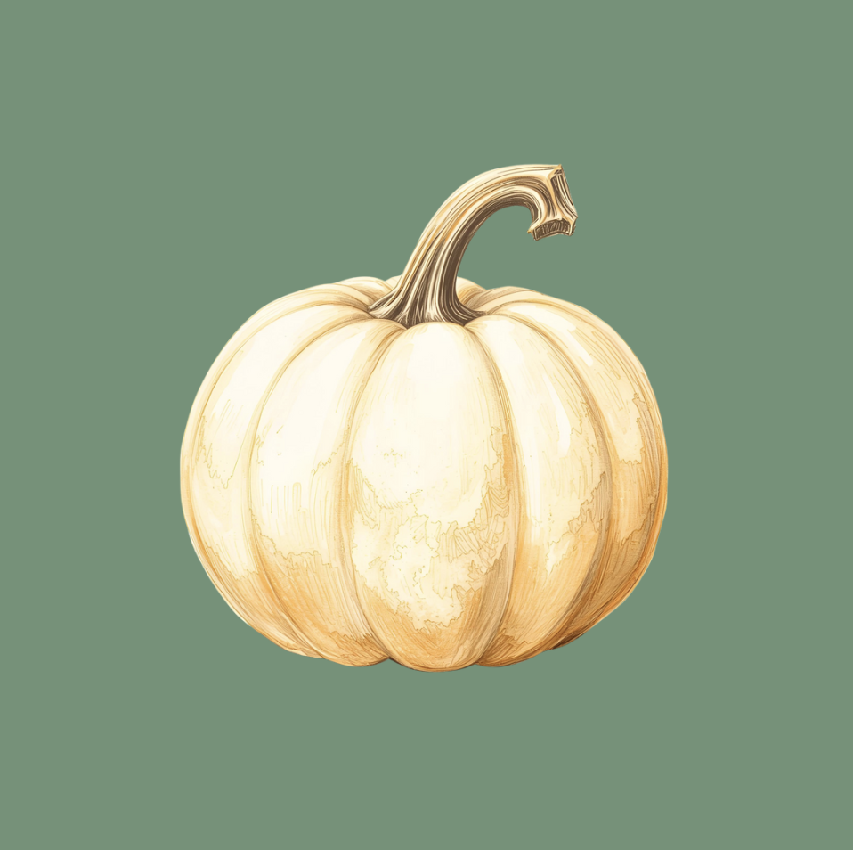Illustration of a white pumpkin with a brown stem against a muted green background.