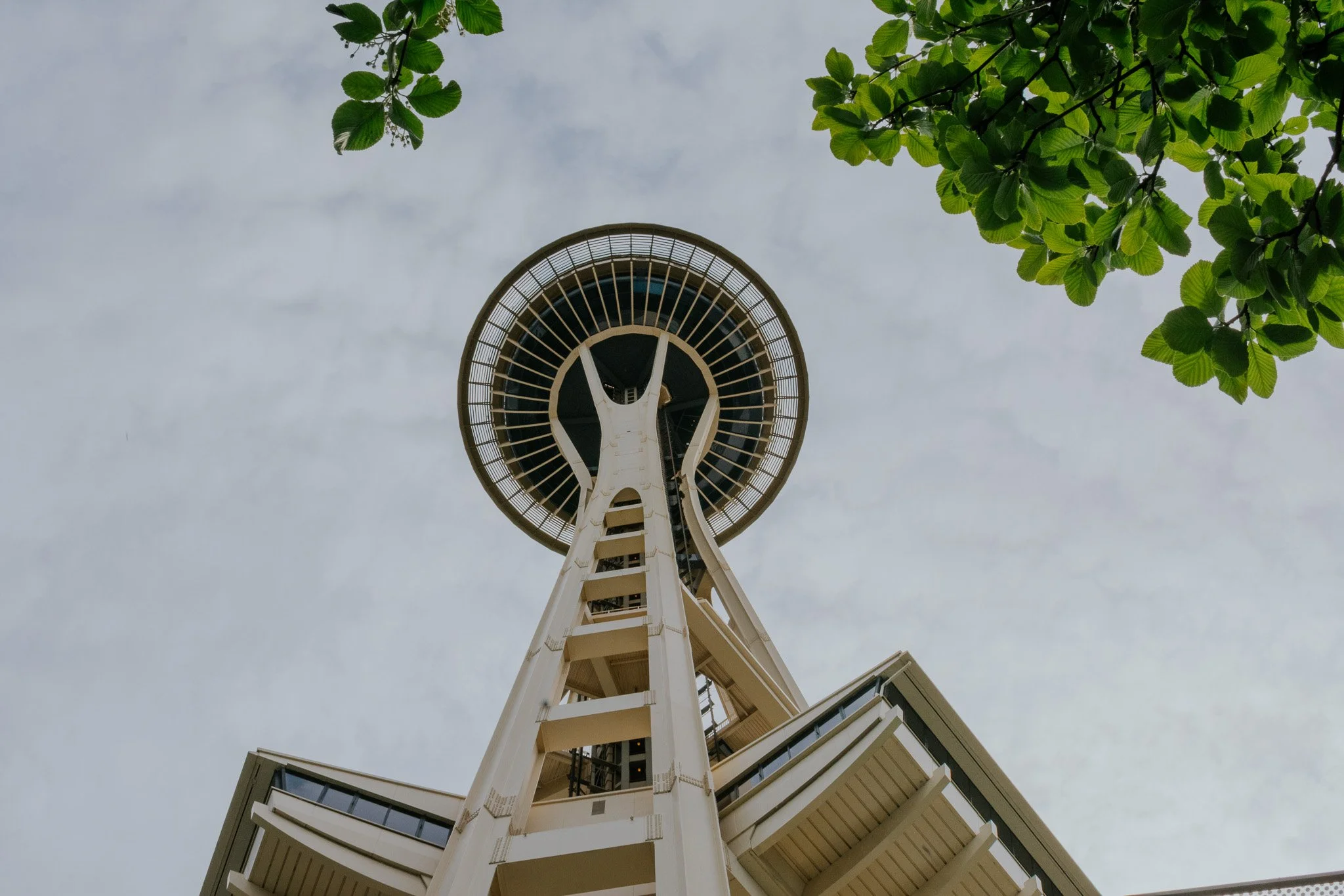 Proposal for Ali & David ~ Space Needle