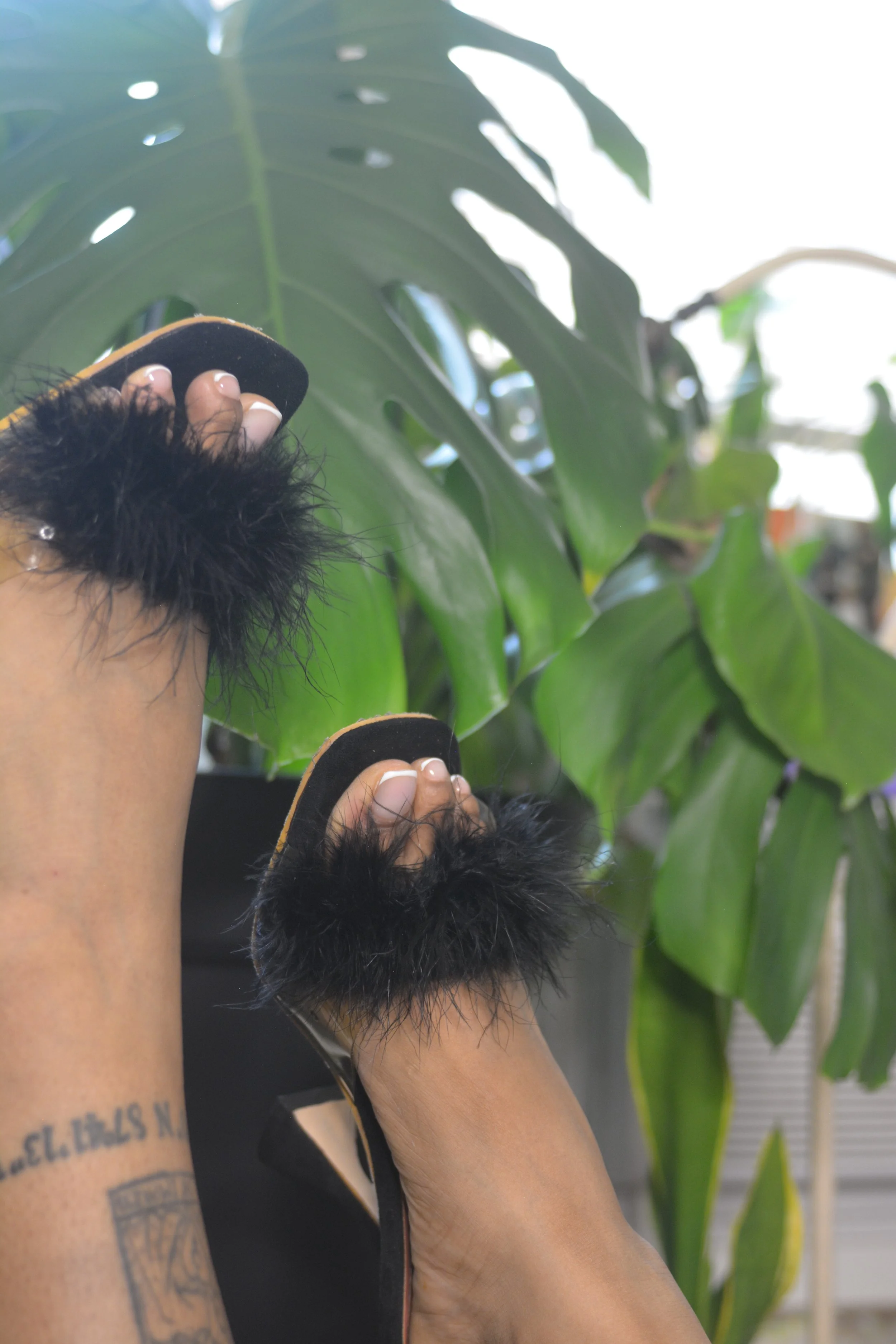 Close-up of a person's arm with tattoos, wearing black and furry slippers, standing next to a large green plant with large leaves.