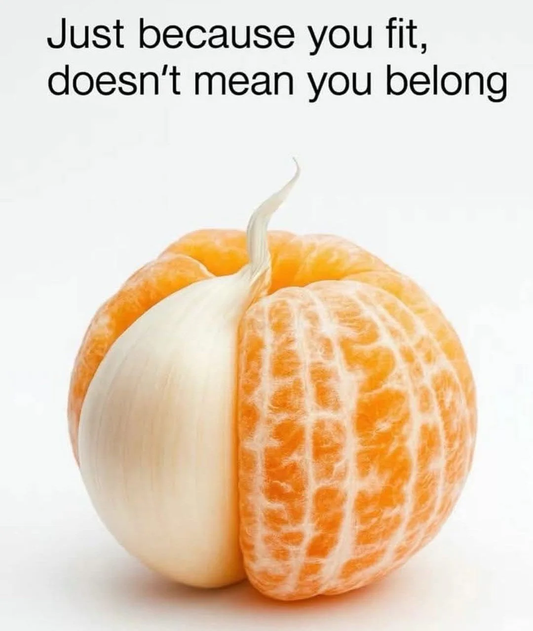Do I want to fit in?